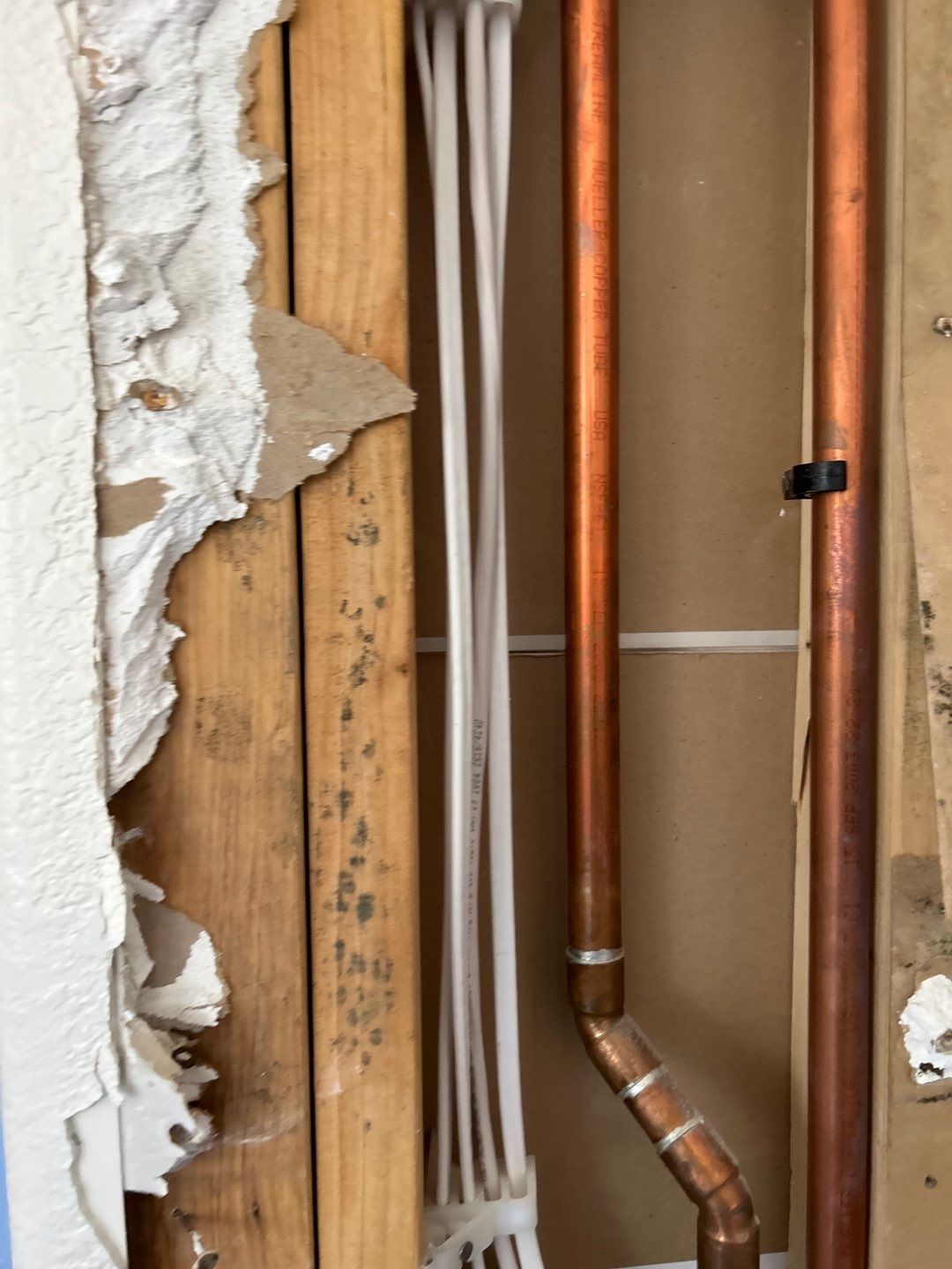 Mold Remediation by Accountable Home Services