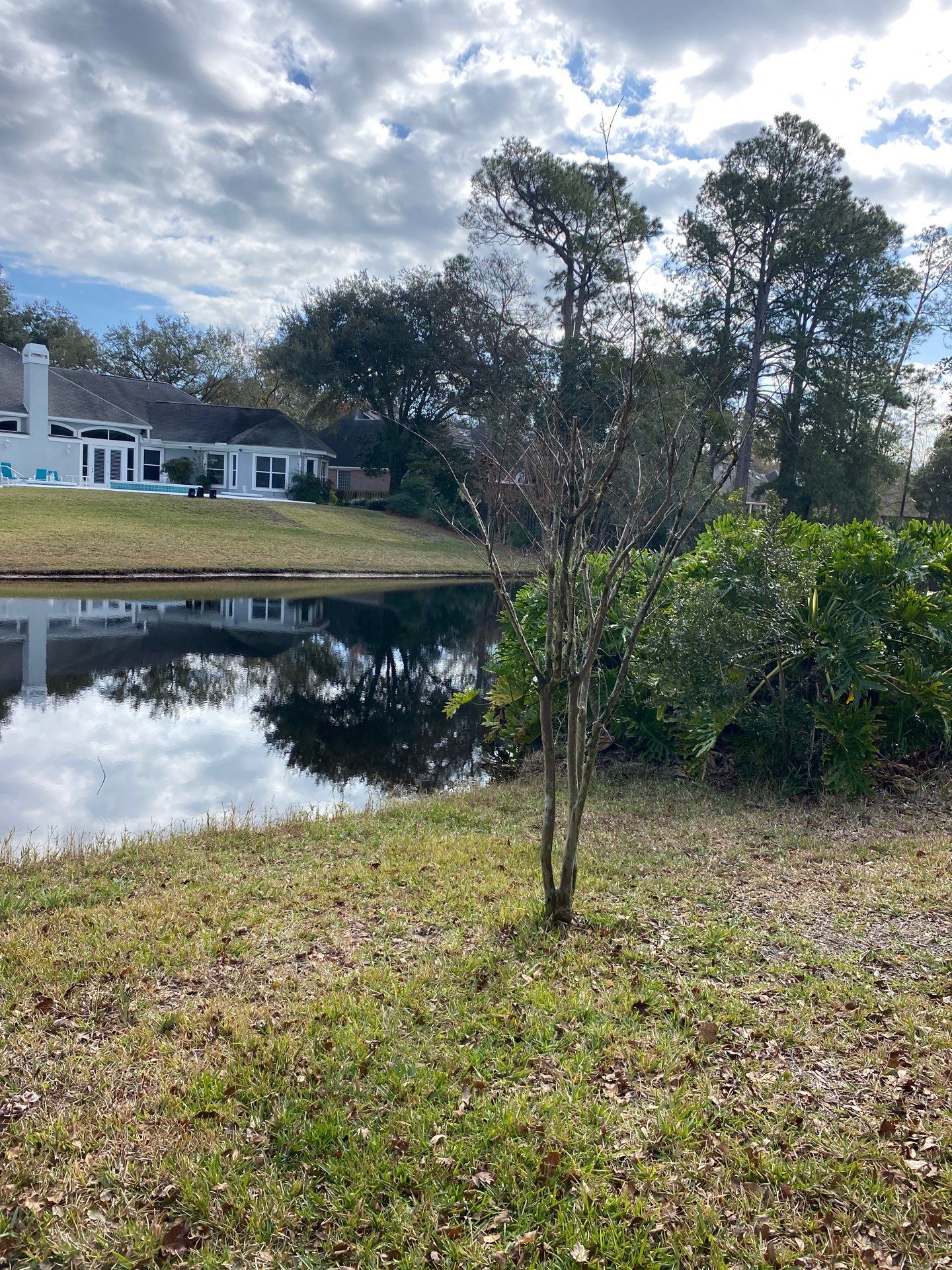 Deerwood Resident | Tree Removal & Install by ProGreen Services