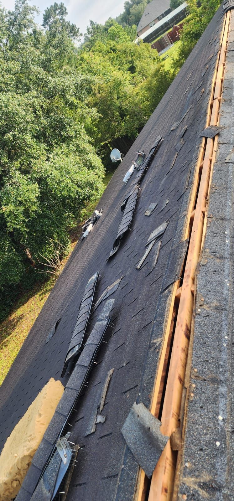 Residential Roofing Installation using Atlas Pinnacle Pristine Oyster Shell by Talya Roofing