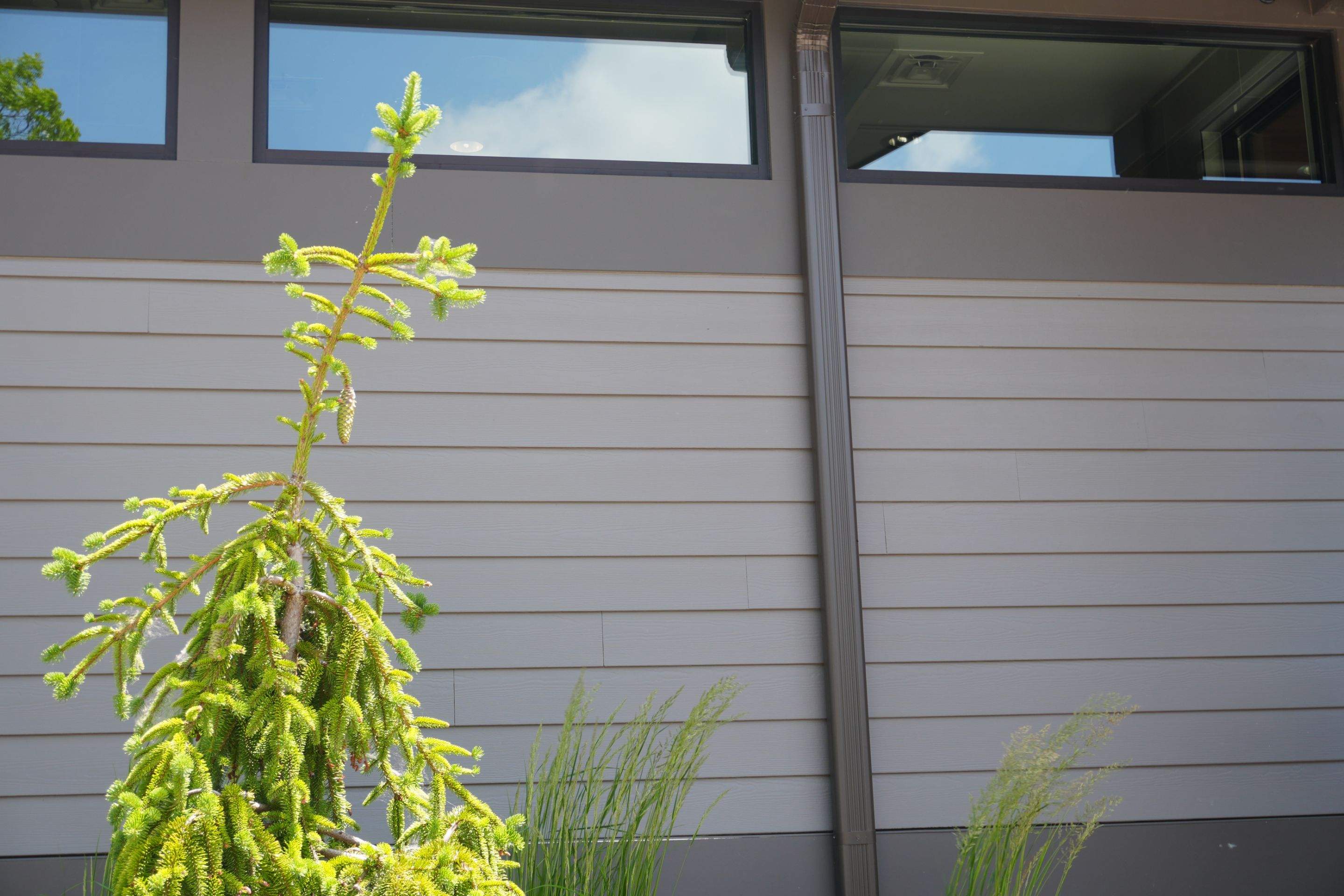 Project in Walker by Cutting Edge Homes