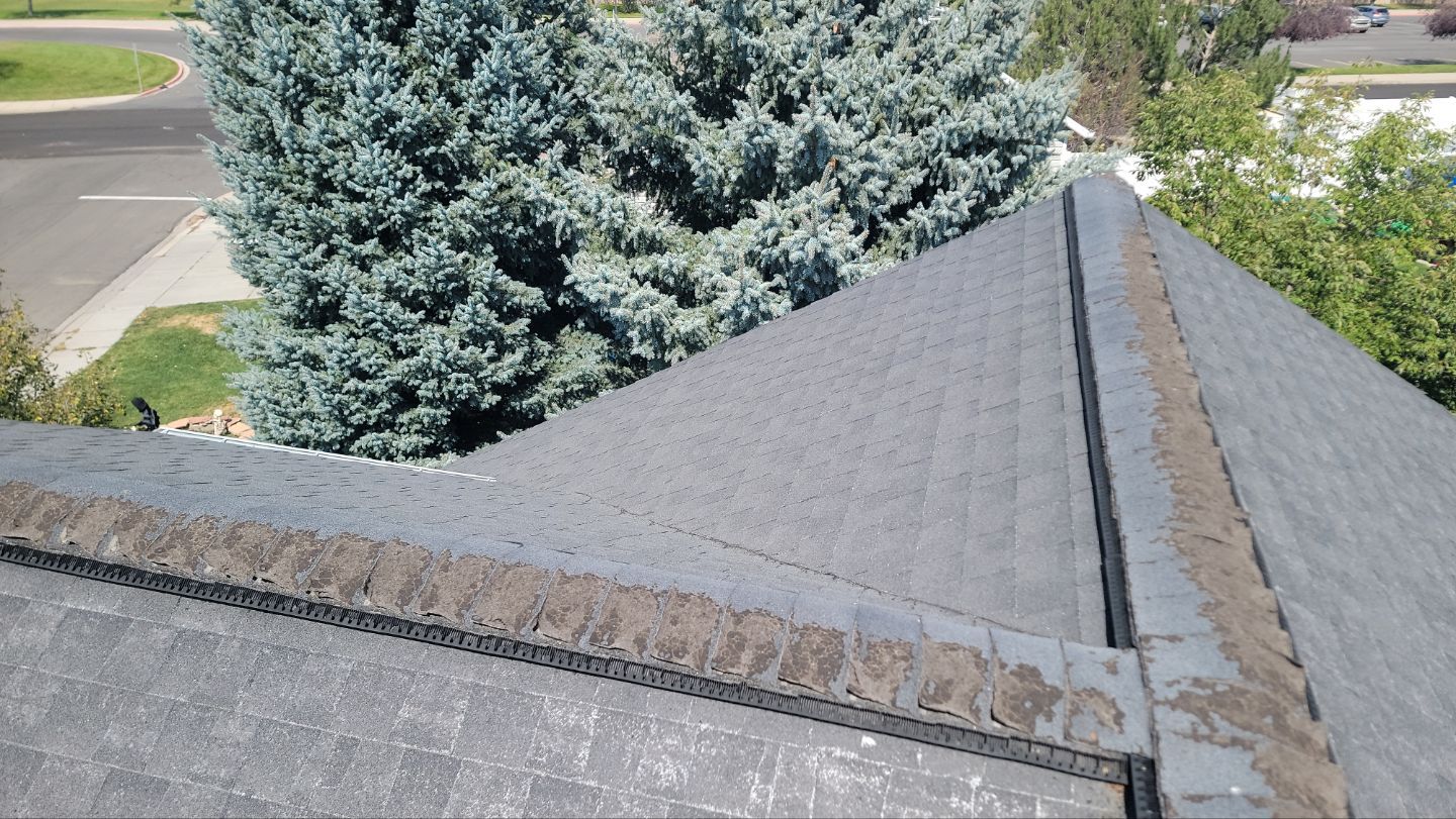 Roof Replacement After Hail Damage by ASAP Roofing & Restoration