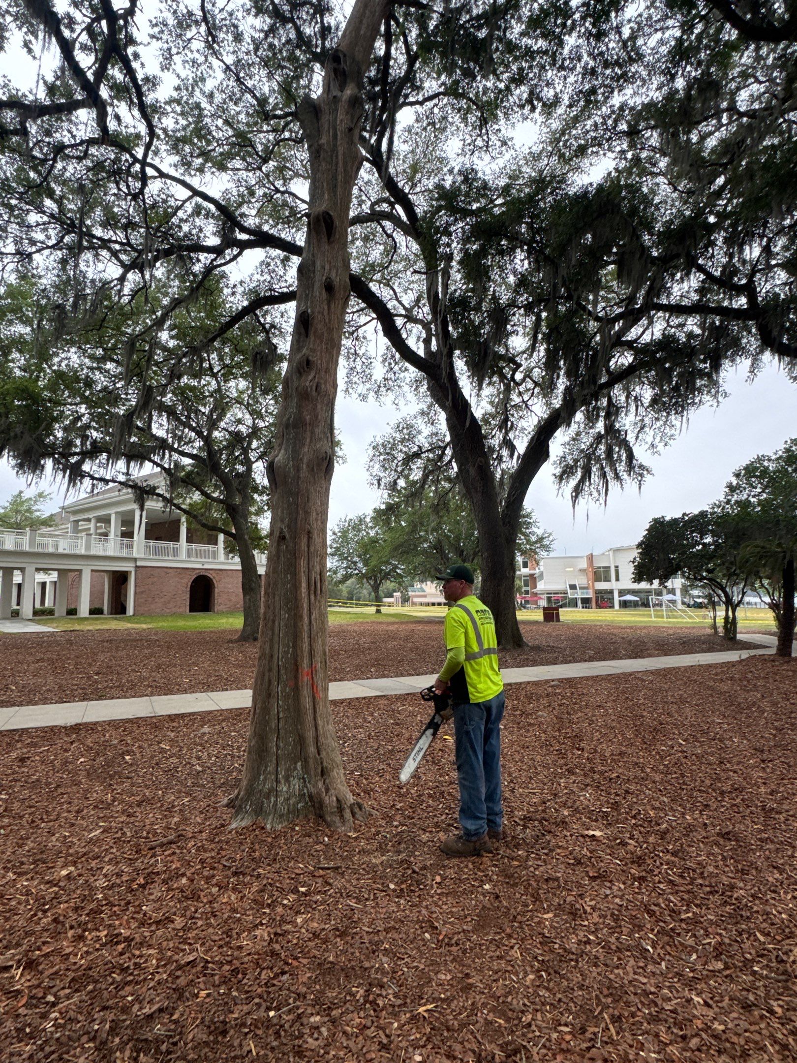 Episcopal School of Jacksonville | Tree Service by ProGreen Services