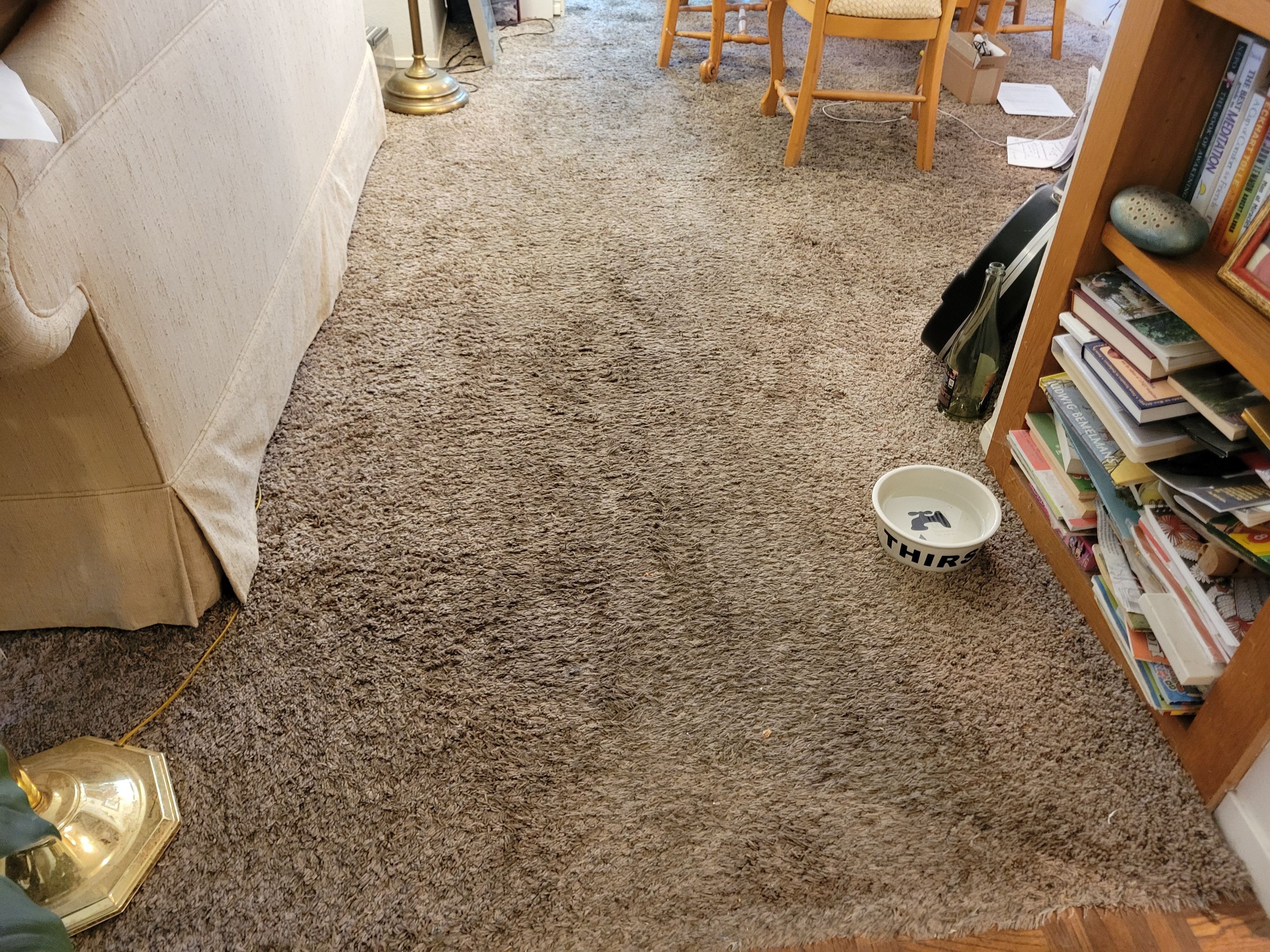 Post Water-Damage, Carpet Re-stretch & Clean by Ardent Carpet Restore LLC