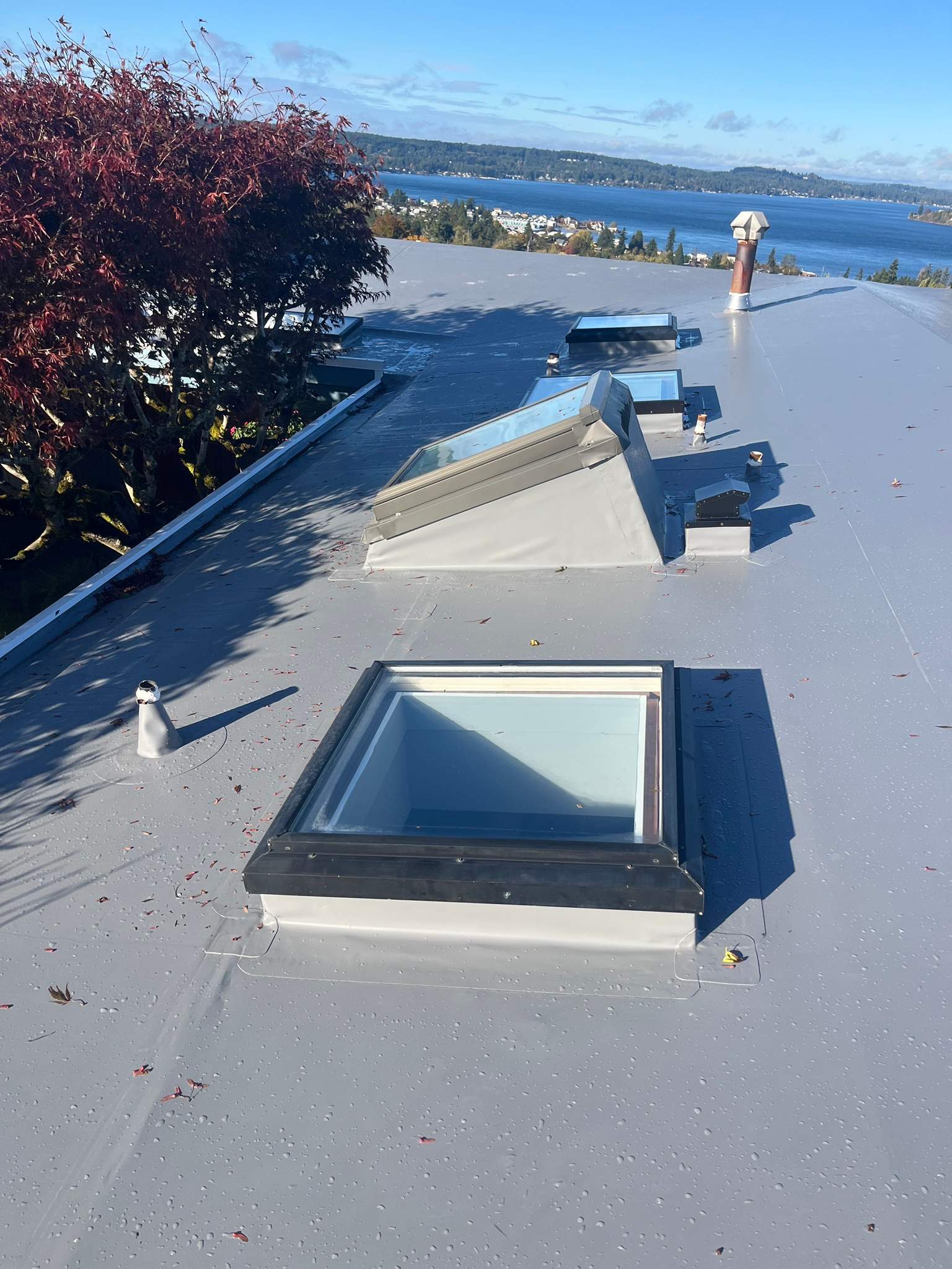 TPO Residential Roof Replacement in Tacoma, WA by Hanley Construction