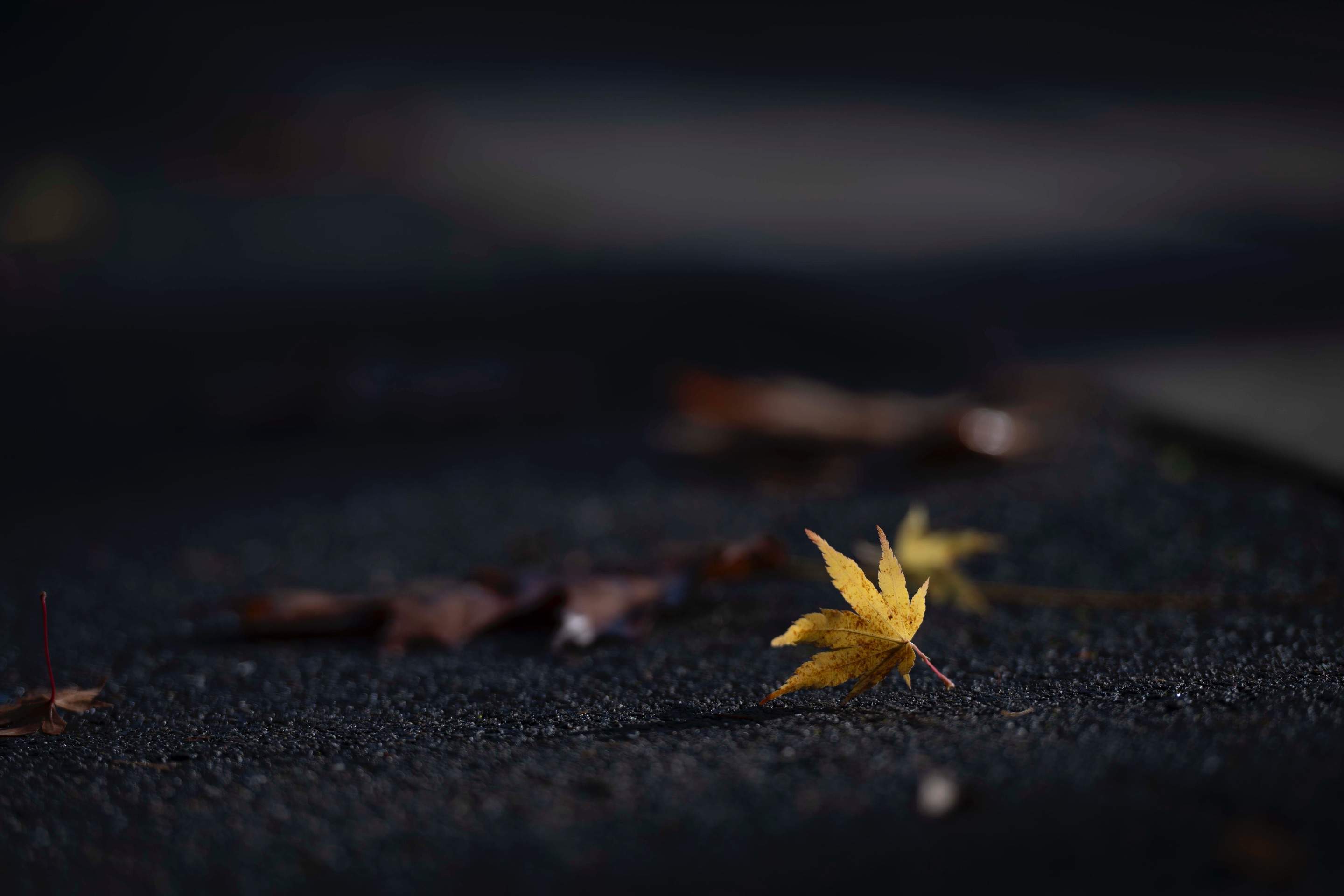 Fall and Spring Cleaning by Jireh Asphalt & Concrete Inc 