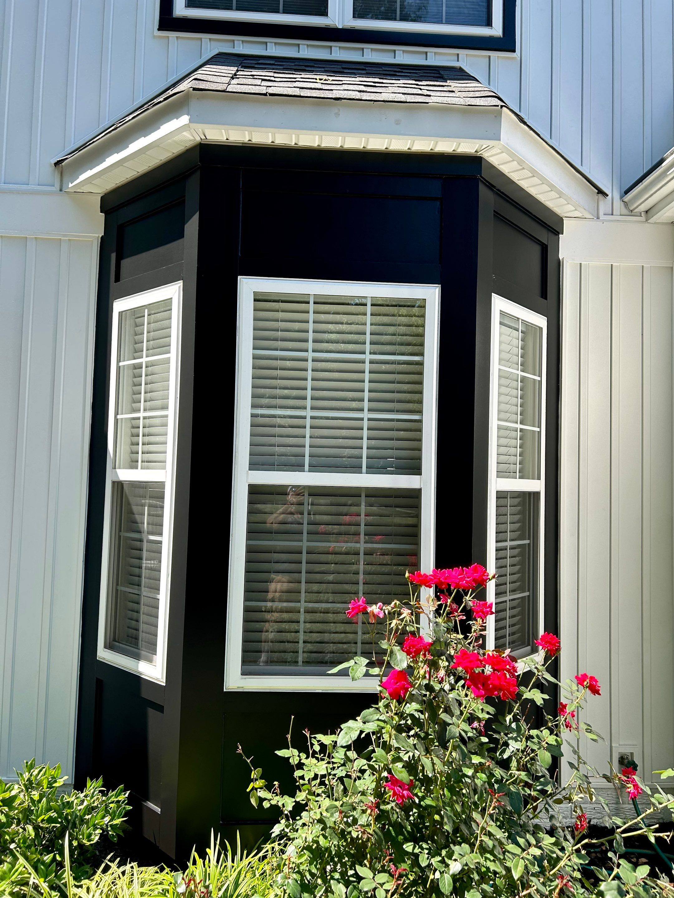 Vinyl Siding Replacement + Black Trim by American Home Contractors