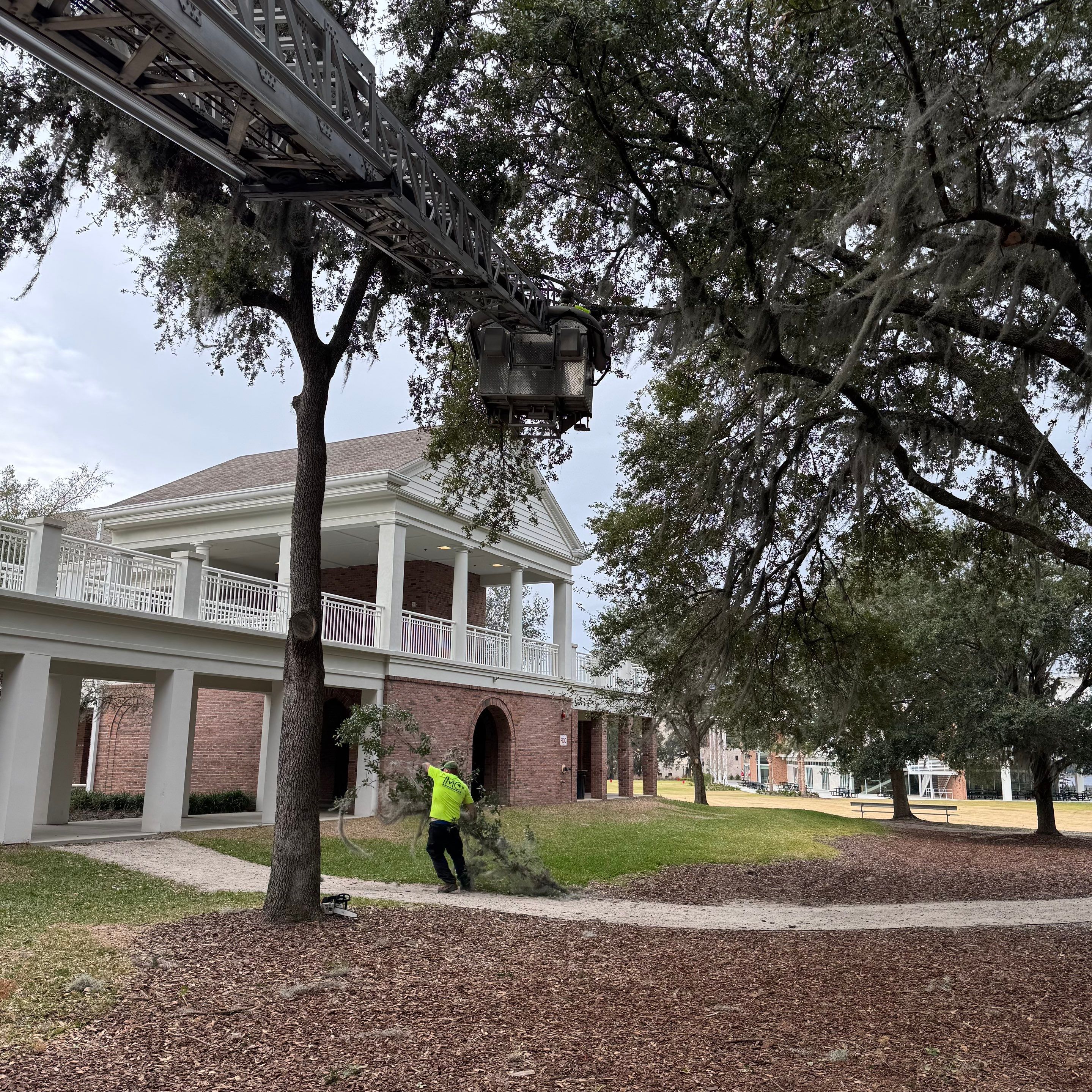 Volunteer Work | Episcopal High School of Jacksonville by ProGreen Services
