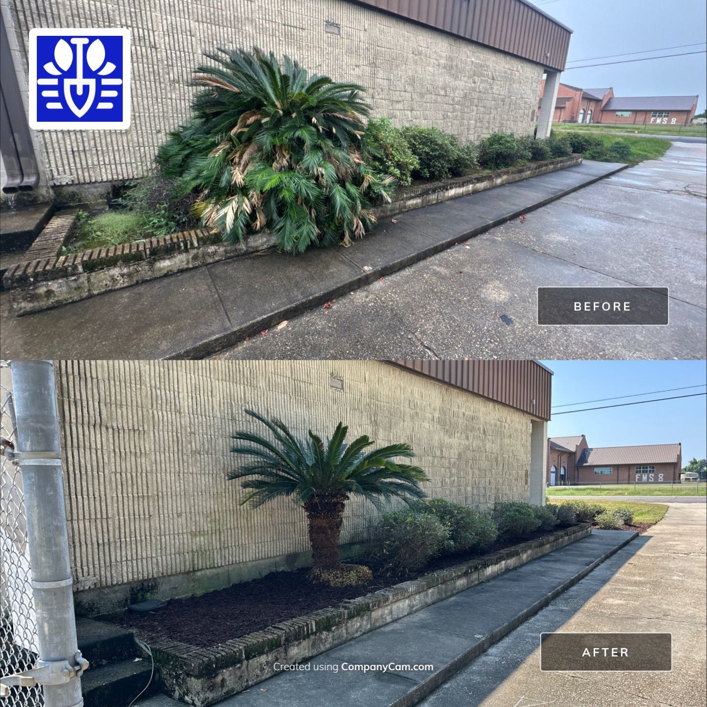 COMMERCIAL LAWN MAINTENANCE: ONE TIME CUT & LANDSCAPE CLEAN UP by CutScape, LLC.