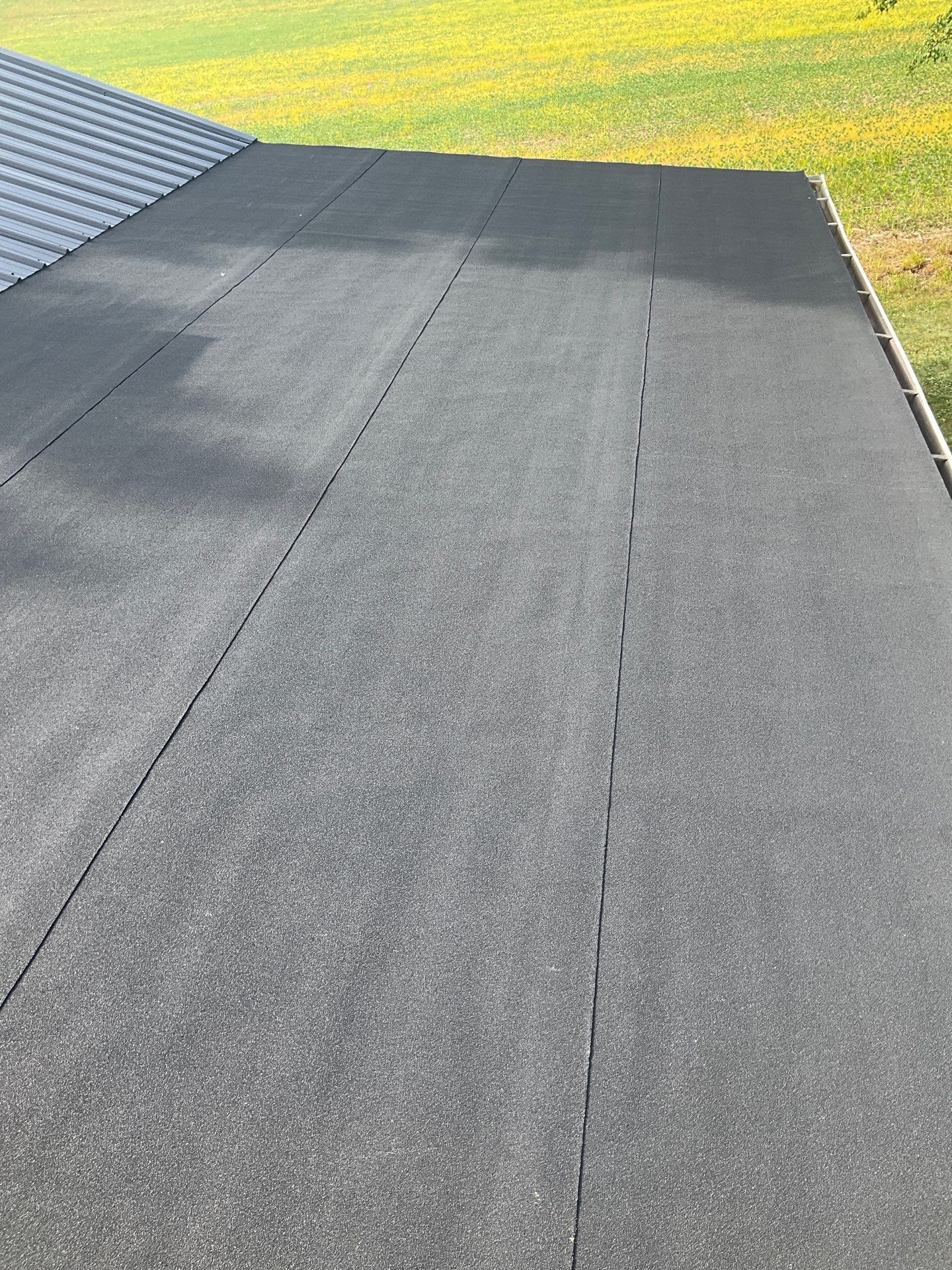 Alpha Rib, Color, Black by Eagle Eye Roofing