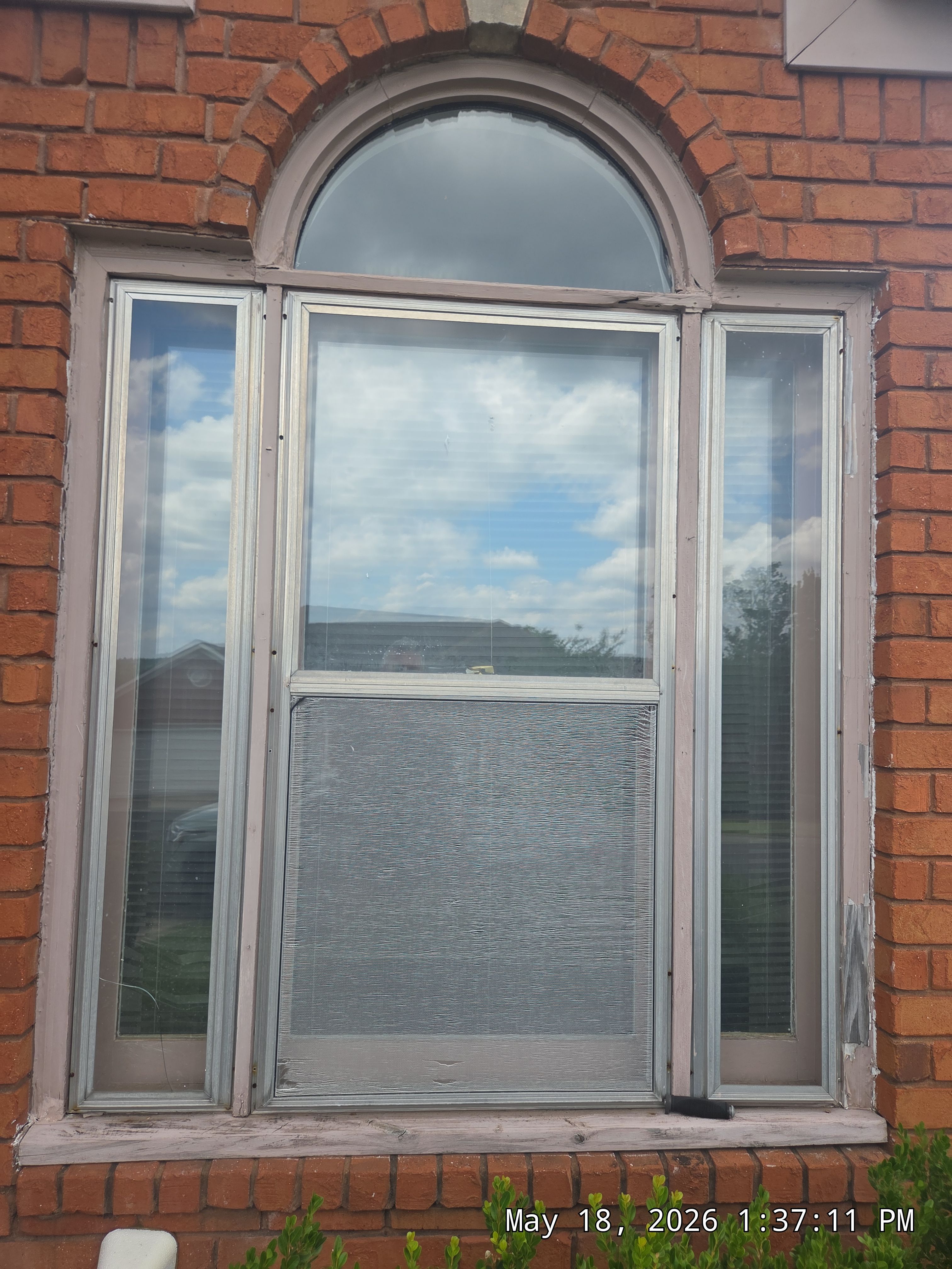 Williams Project in Birmingham by The Window Source