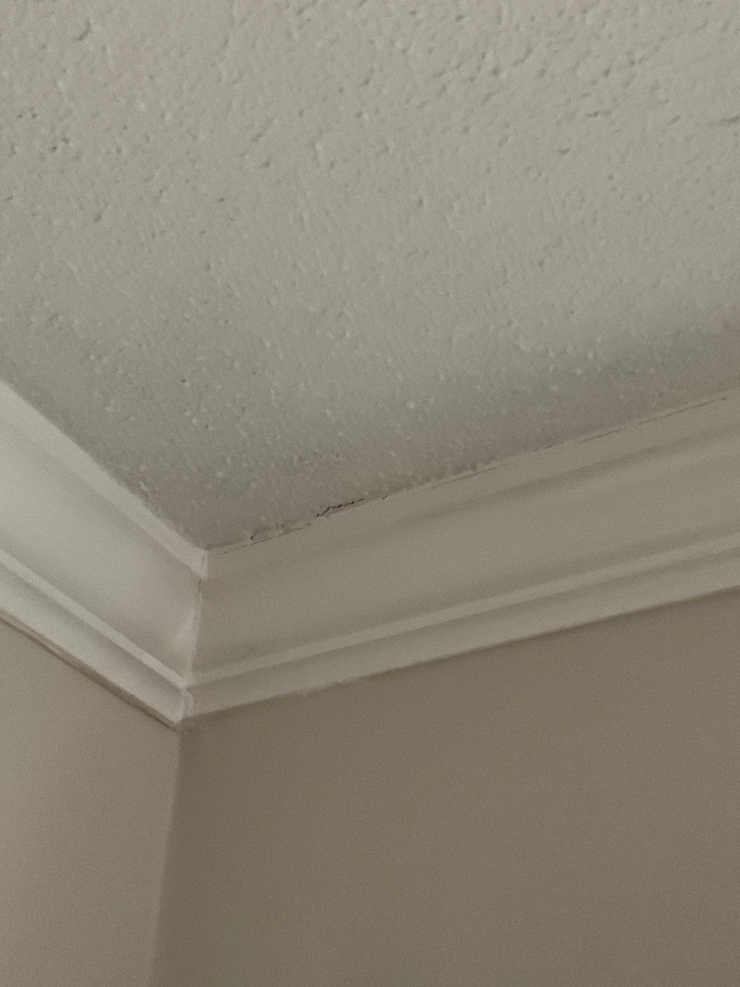 Interior Home Painting Penllyn, PA by Groovy Hues