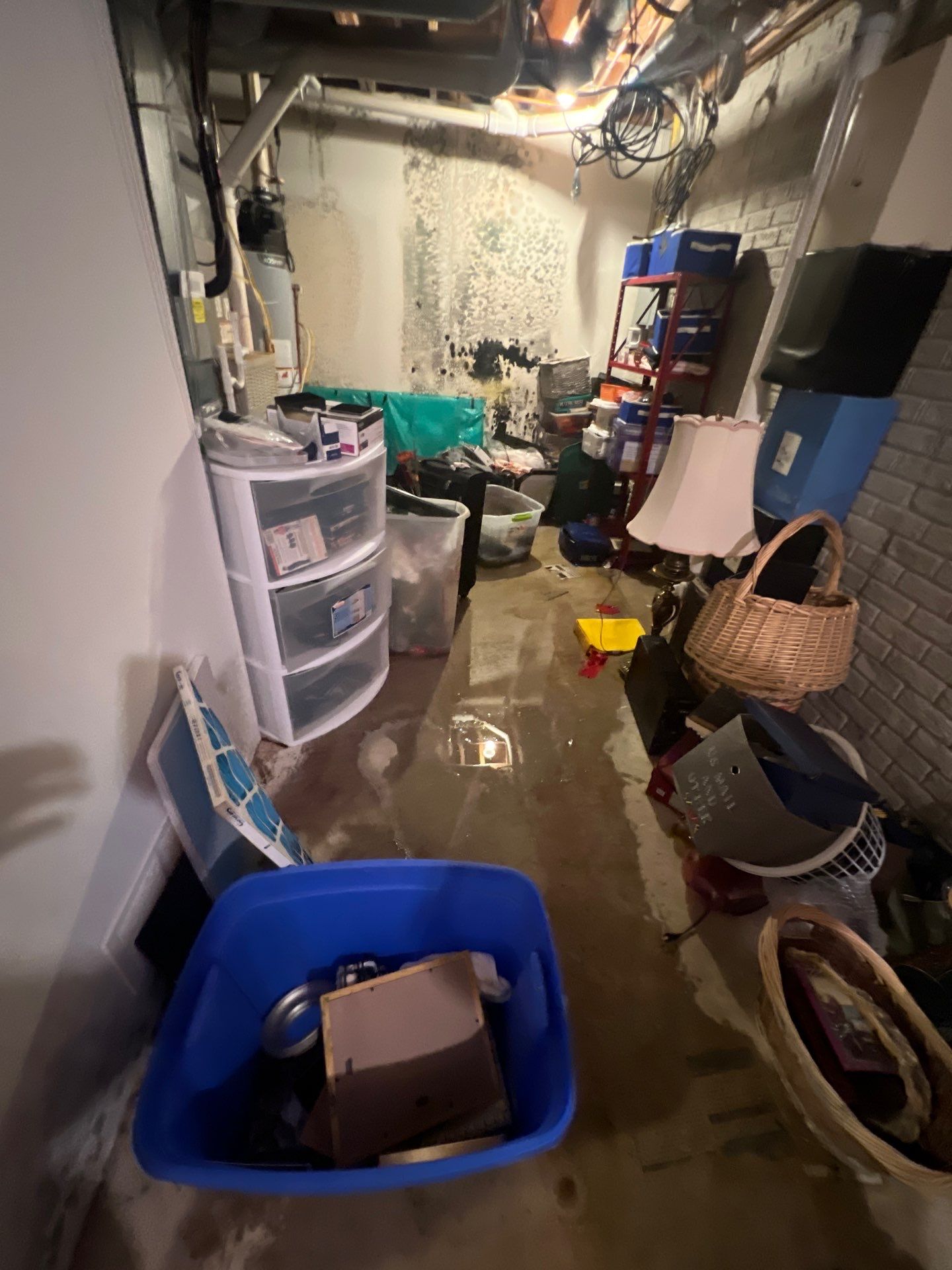 Project in Commerce Charter Twp by EzDry Water Mitigation & Property Restoration