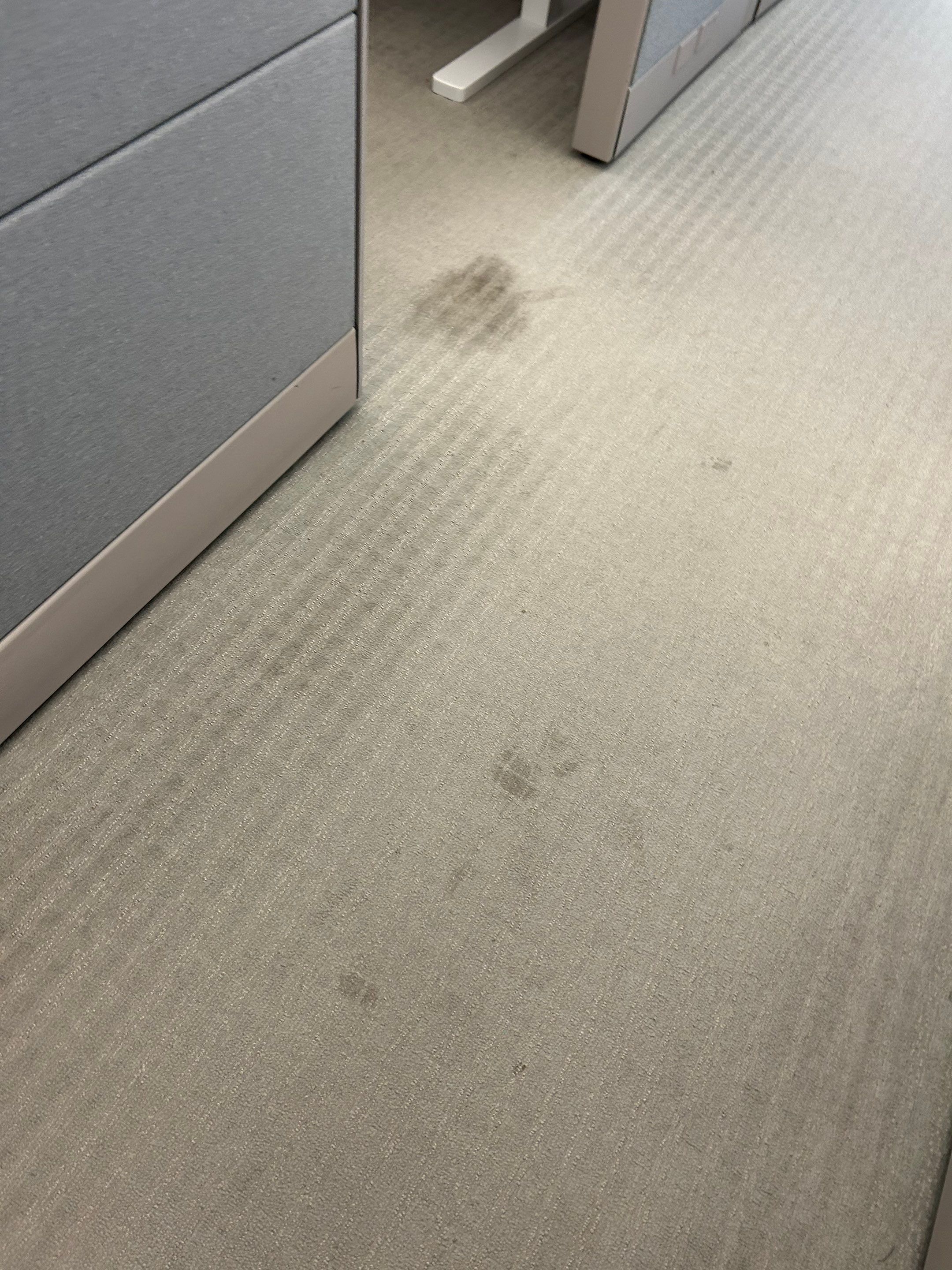 Current Condition by Corporate Care