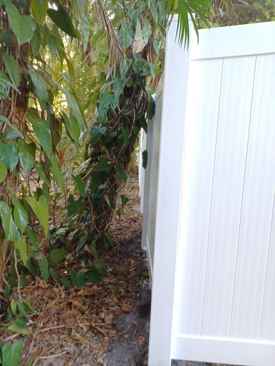 Bradenton, FL 6ft. Tall White Vinyl Privacy Fence  by Asap fence and gates, LLC