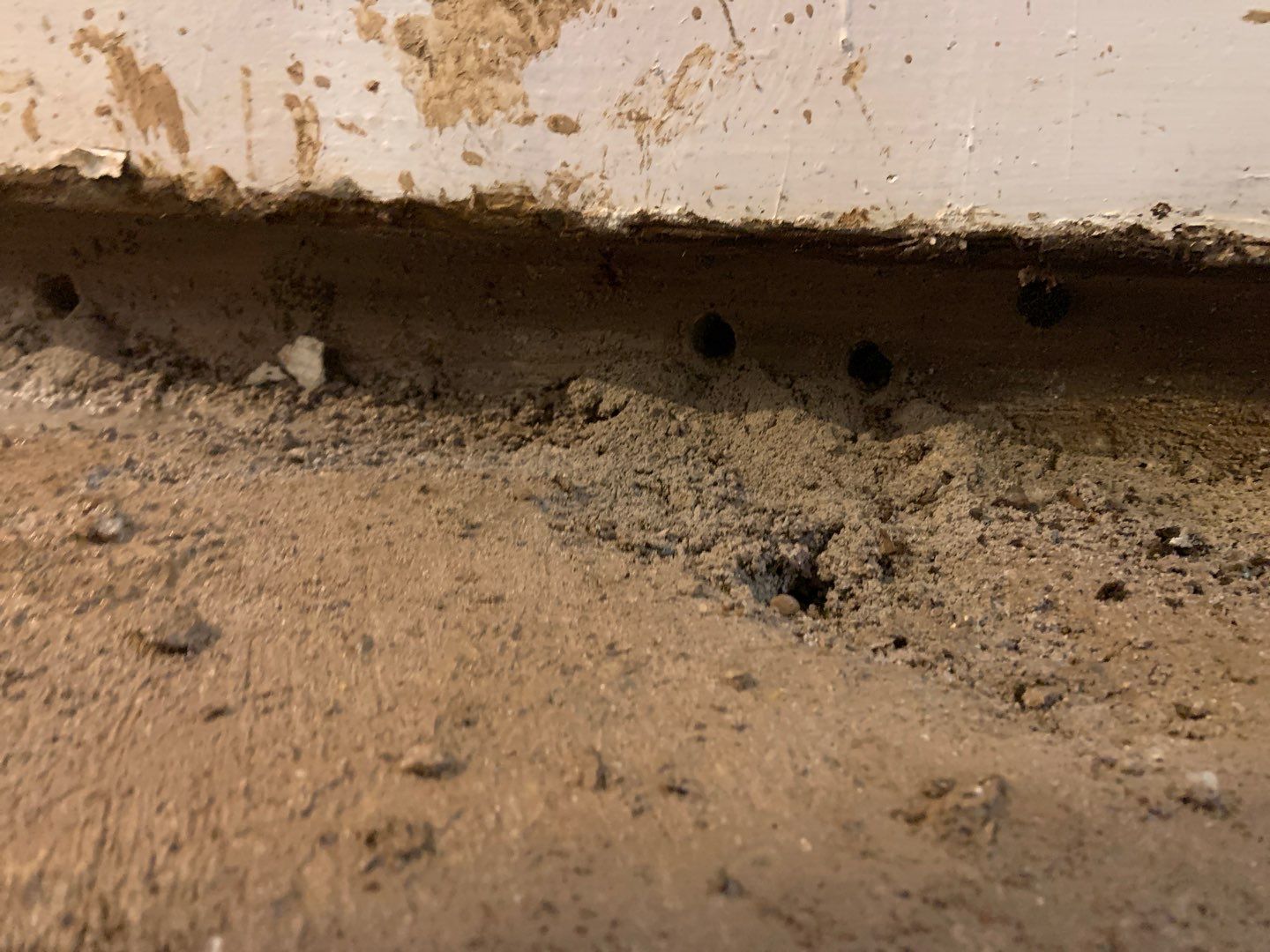From Flooded to Dry for Lee by Waterproofing Northeast