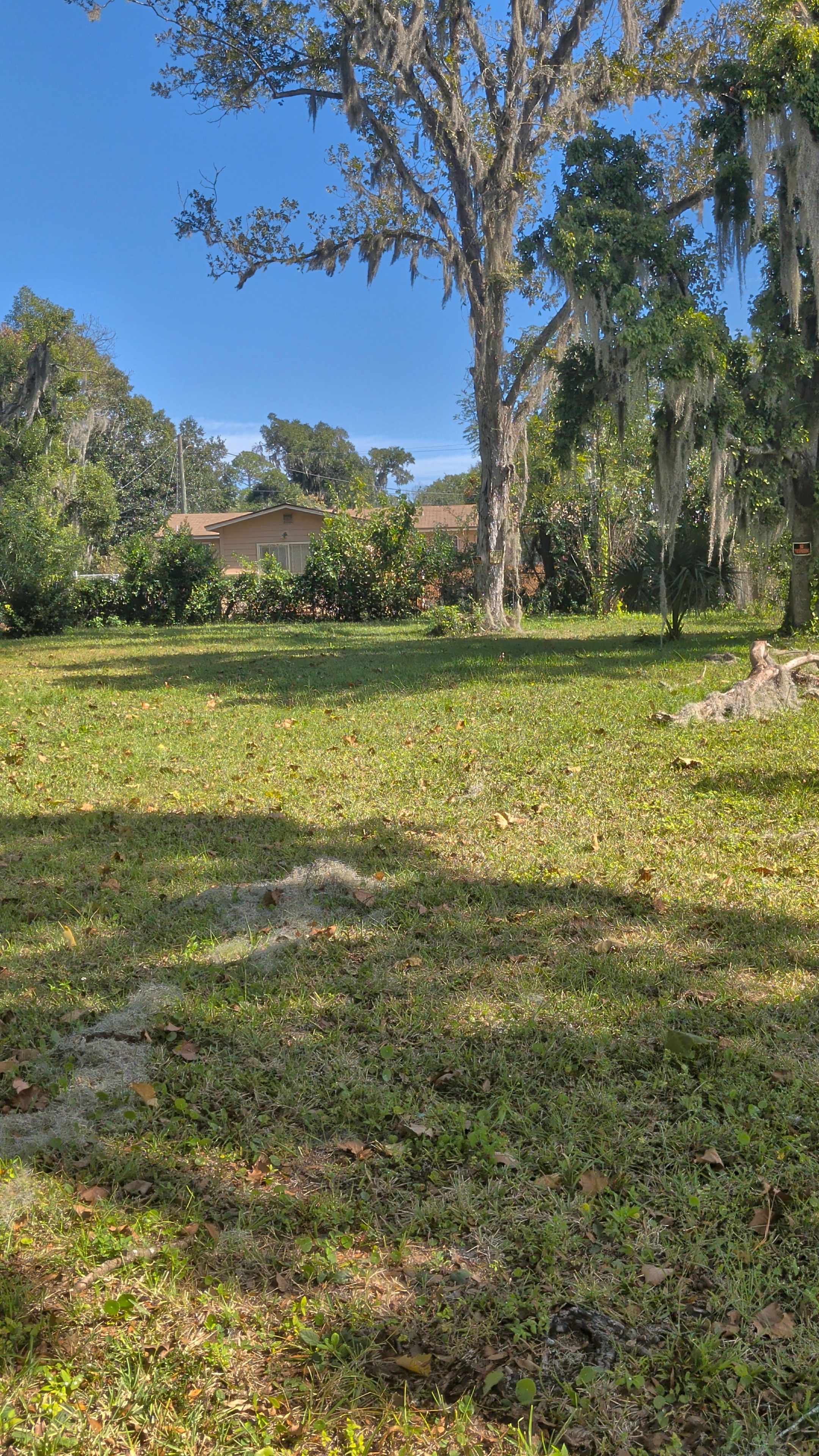 Vacant Lot Cleanup & Ongoing Maintenance — Northside Jacksonville (32219) by Harmoni Home Services