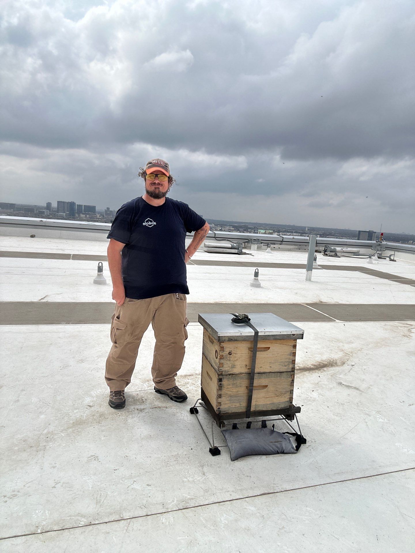 Rooftop Bees in Frisco by Rockwall Honey Bee Company