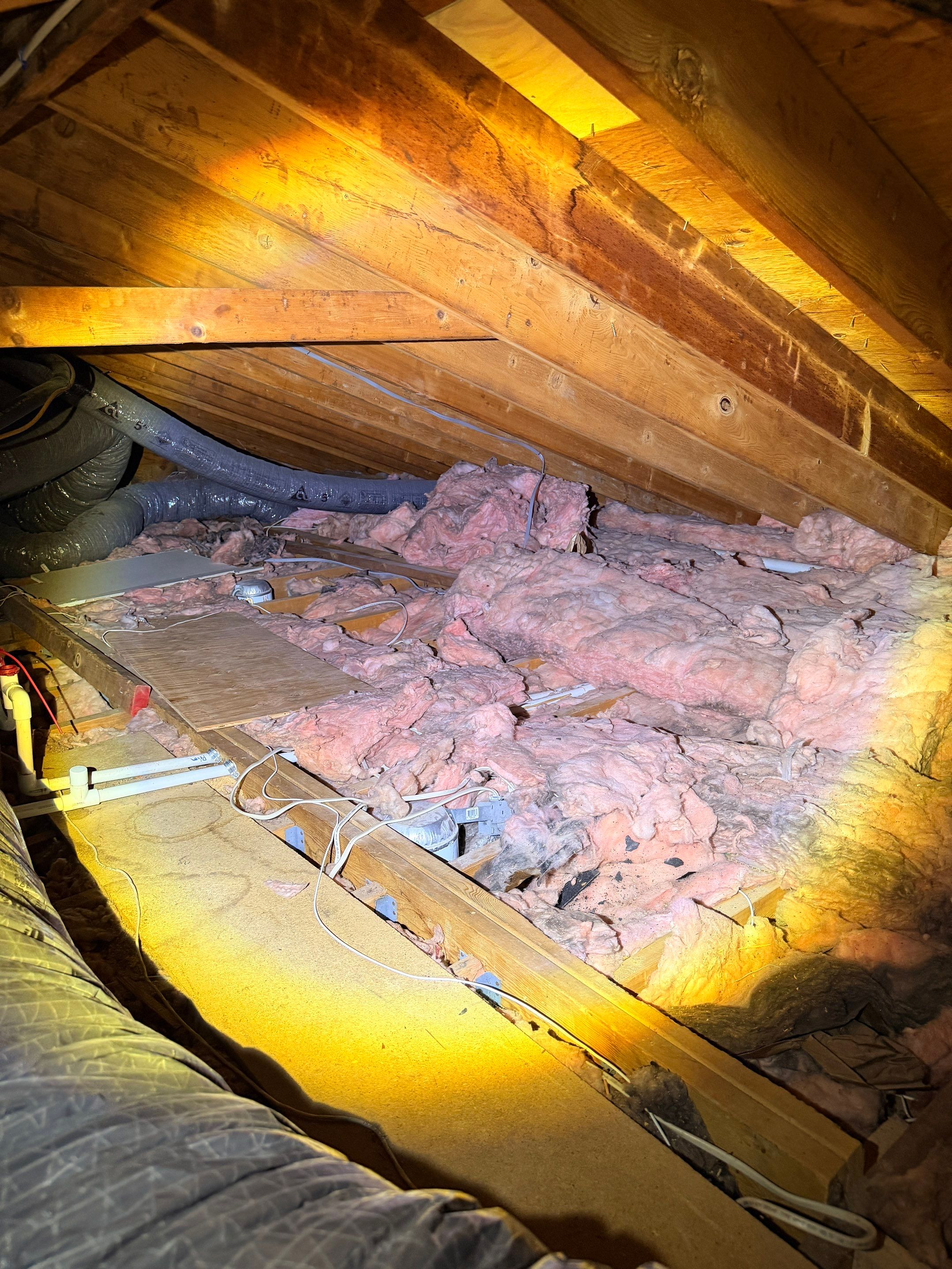 Ceiling Water Damage Mitigation and Structural Drying in Holbrook by Newhouse Restoration