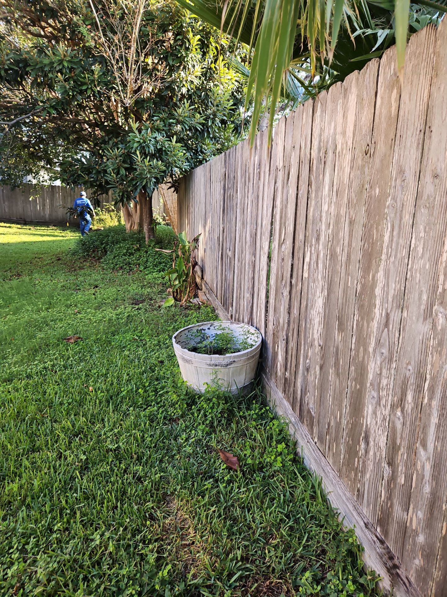 Poolside Perfection by Tim's Fences