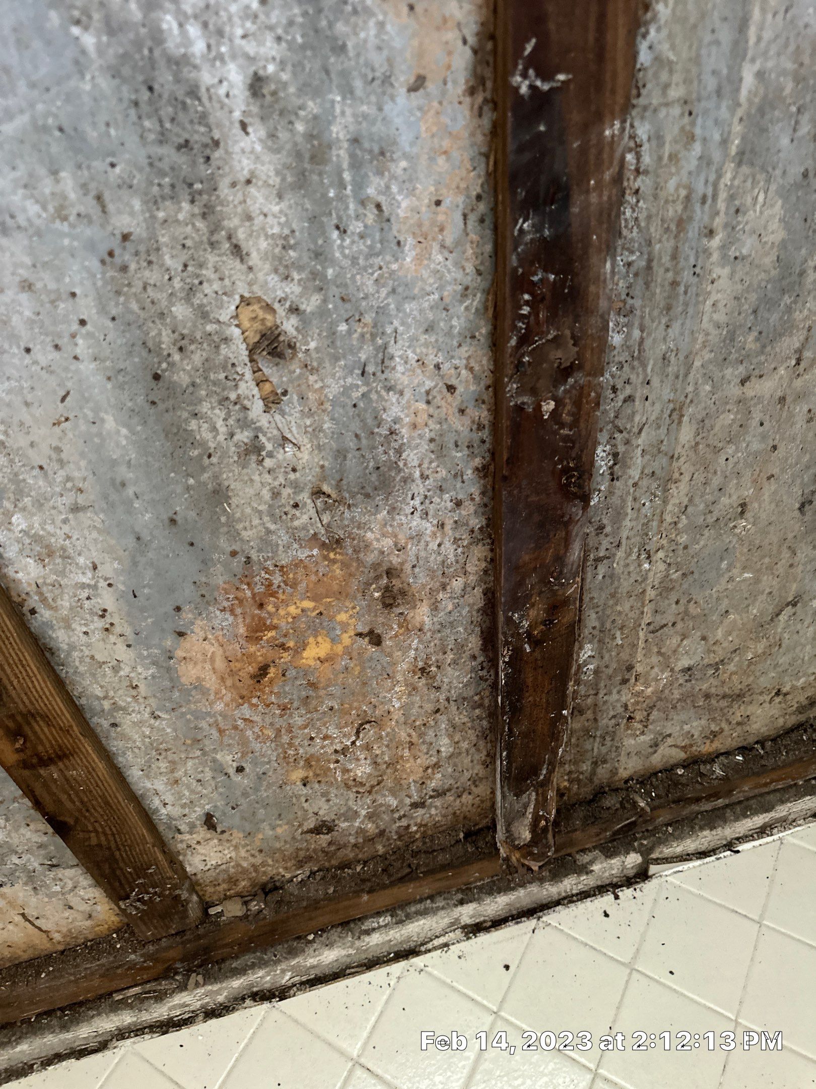 Mold Assesment by Building performance Solutions LLC
