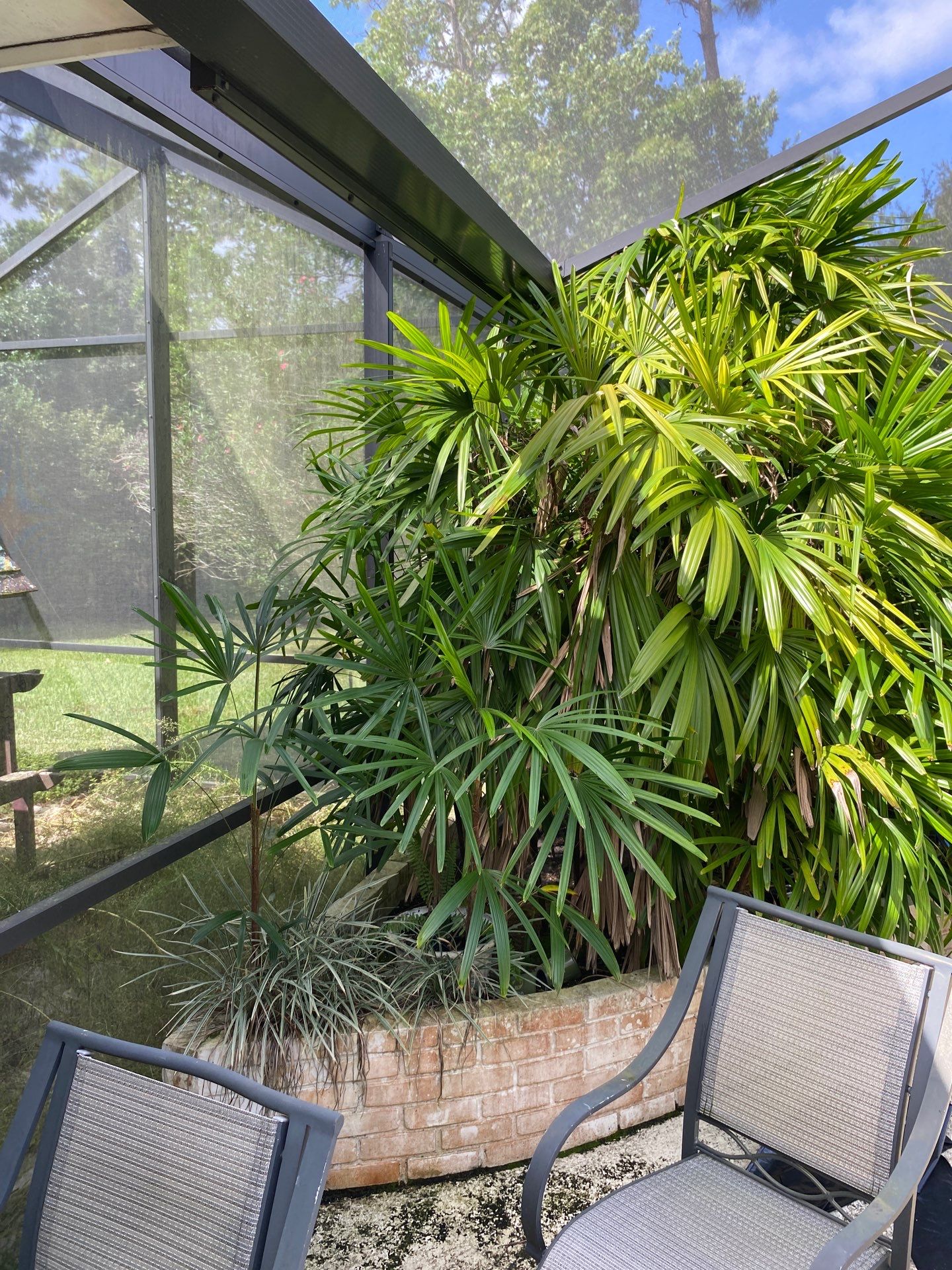 Deerwood Residence | Extreme Clean Up by ProGreen Services
