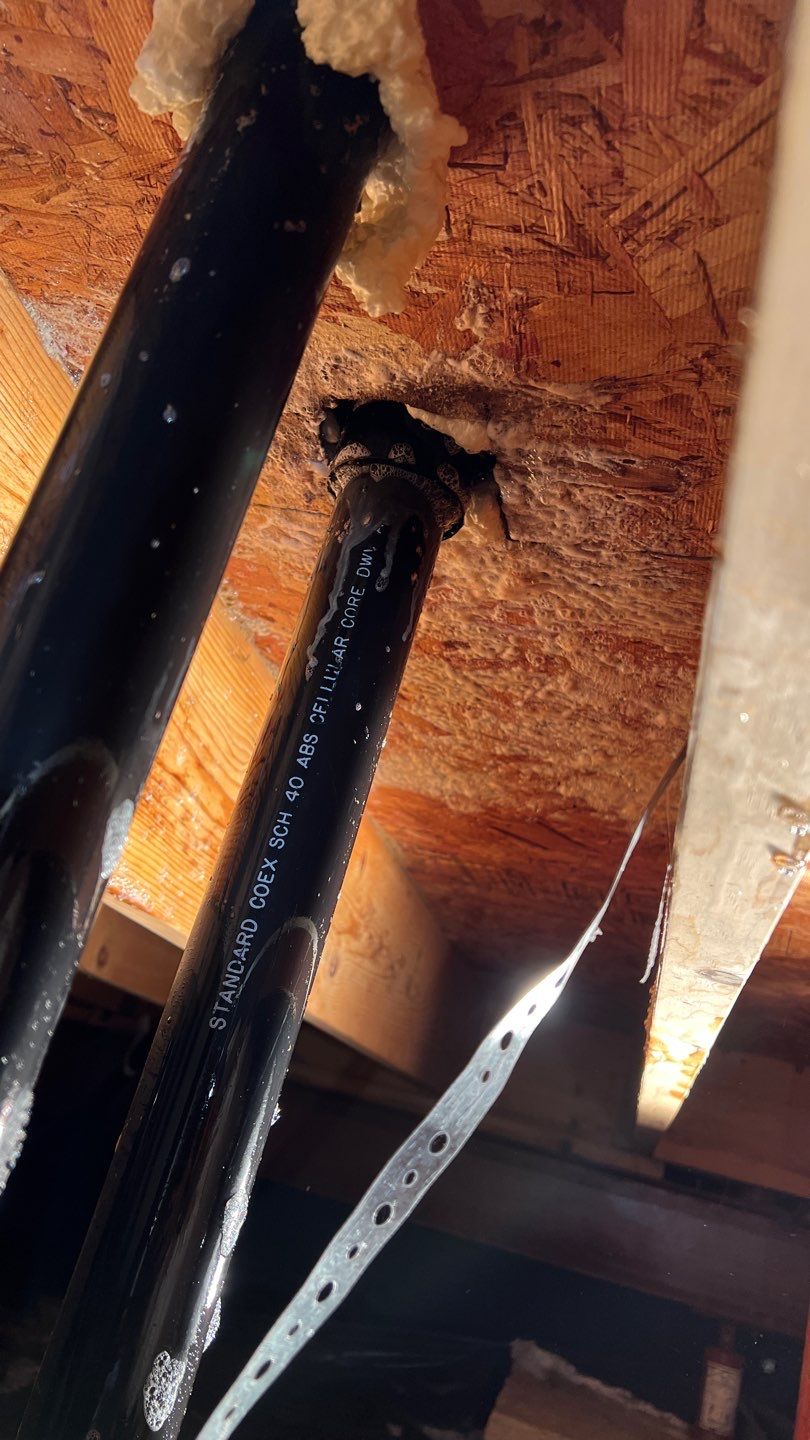 Mold Damage by Accountable Home Services