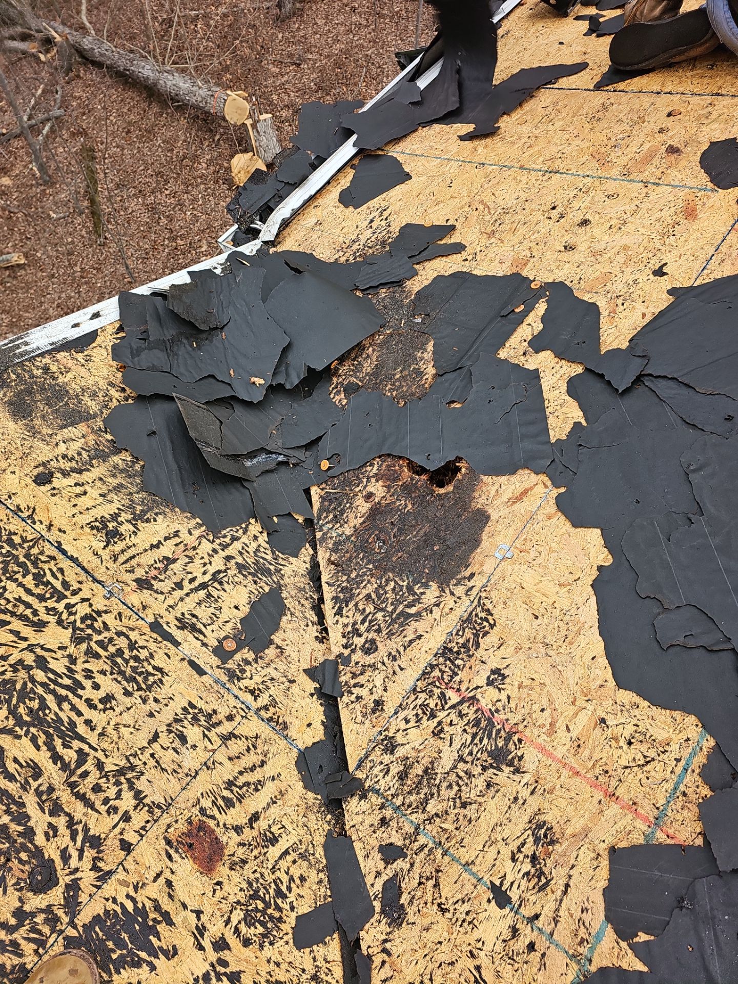 Roof Replacement by Winchester Roofing