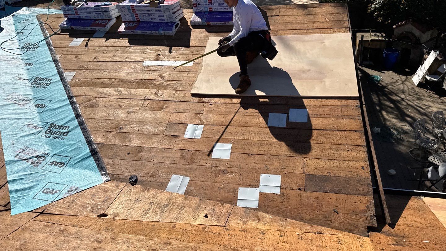 Willa Holmstock by NuLead Construction Inc