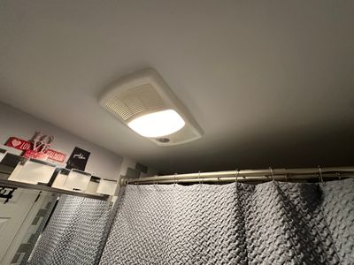 Bathroom Mold Remediation