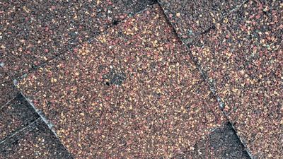 Turtle Shell gutter protection installation in Villa Park, IL 60181, photograph 5
