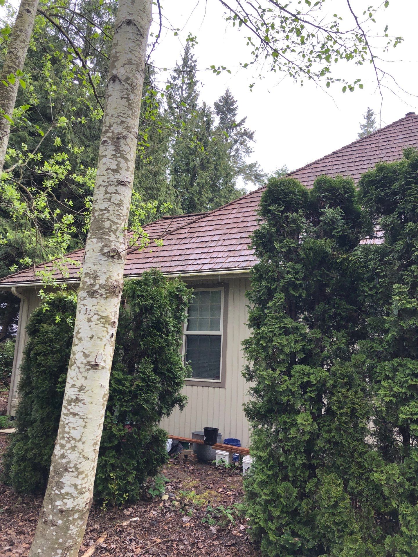 Project in Blaine by Connolly Construction Company