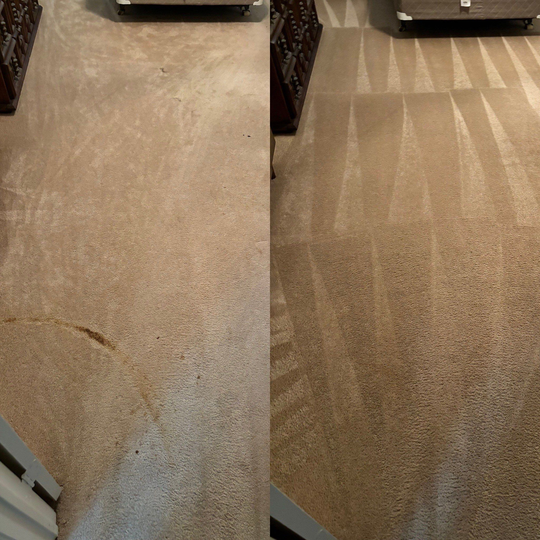 the service shown is carpet cleaning with visible improvement in cleanliness and appearance of the carpet fibers