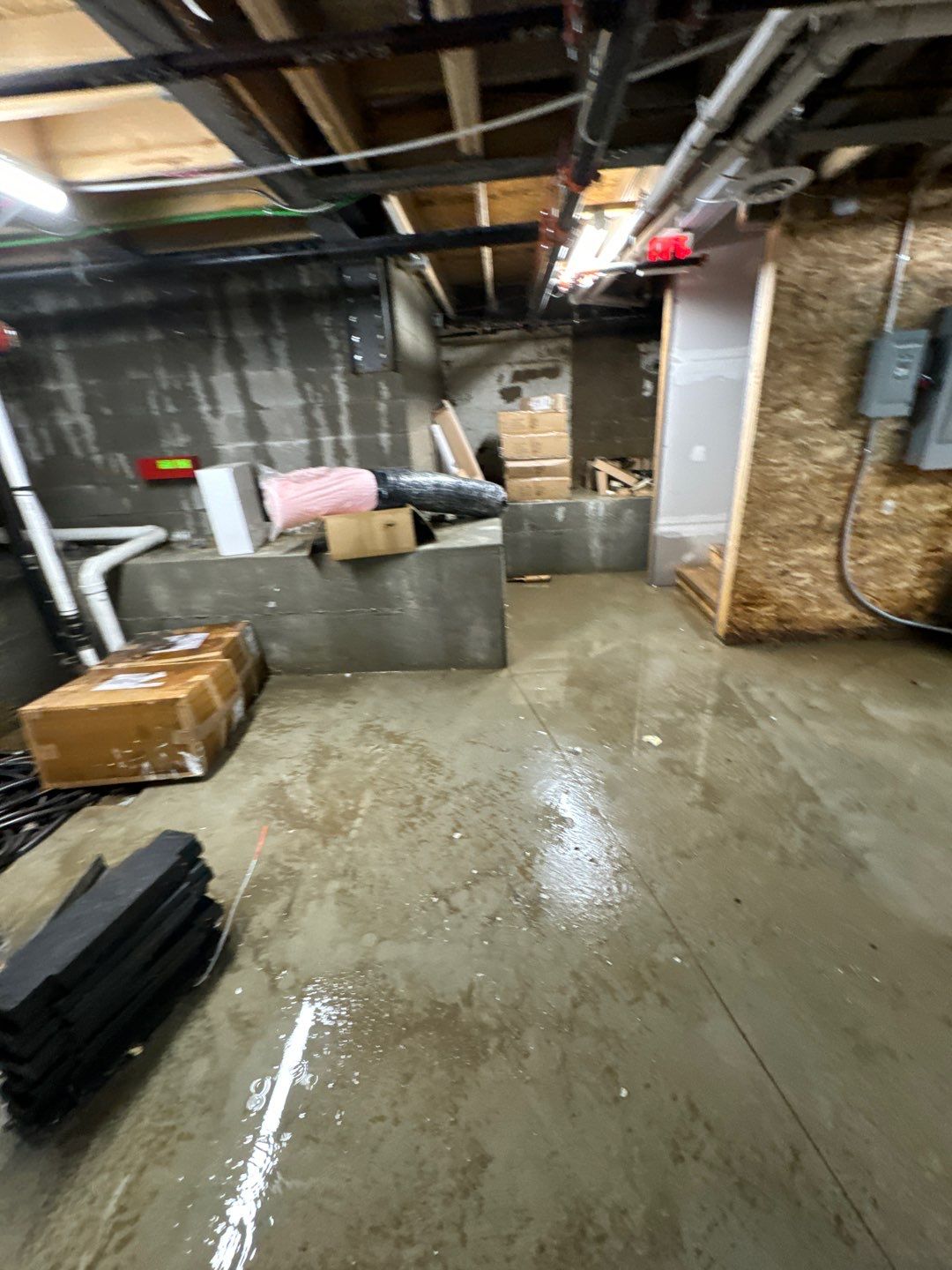 Project in Royal Oak by EzDry Water Mitigation & Property Restoration
