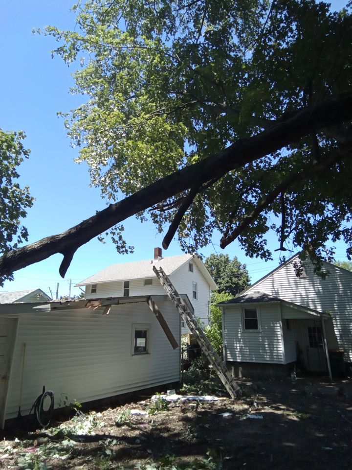 Storm Damaged Tree Removal  using Tree Removal by Mike Jones & Sons Tree Service LLC 