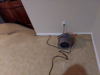Project by BlueRed Restoration