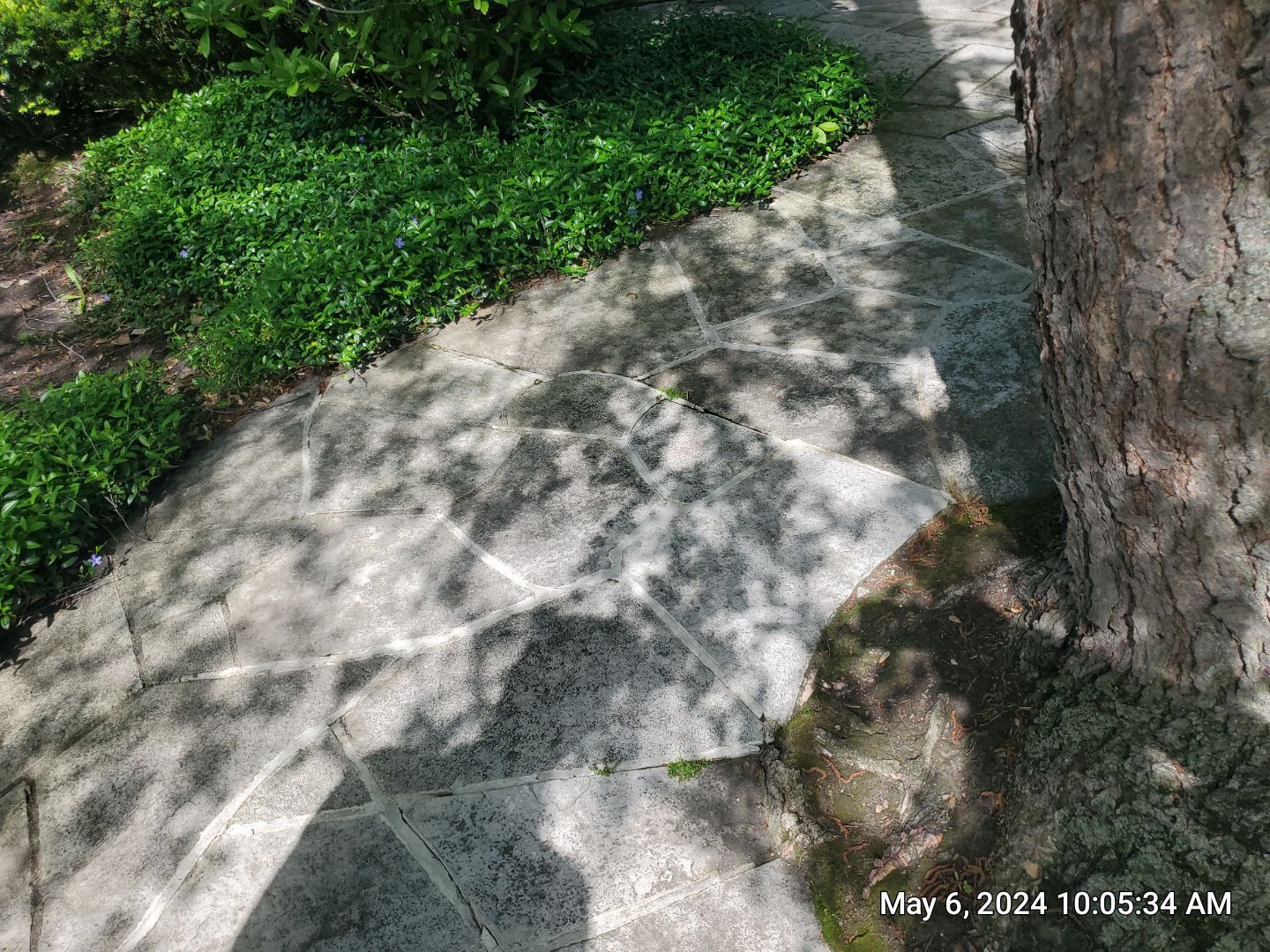 Brick paver clean, sand and seal.  using Surebond SB-1300 by Northern Power Washing LLC.