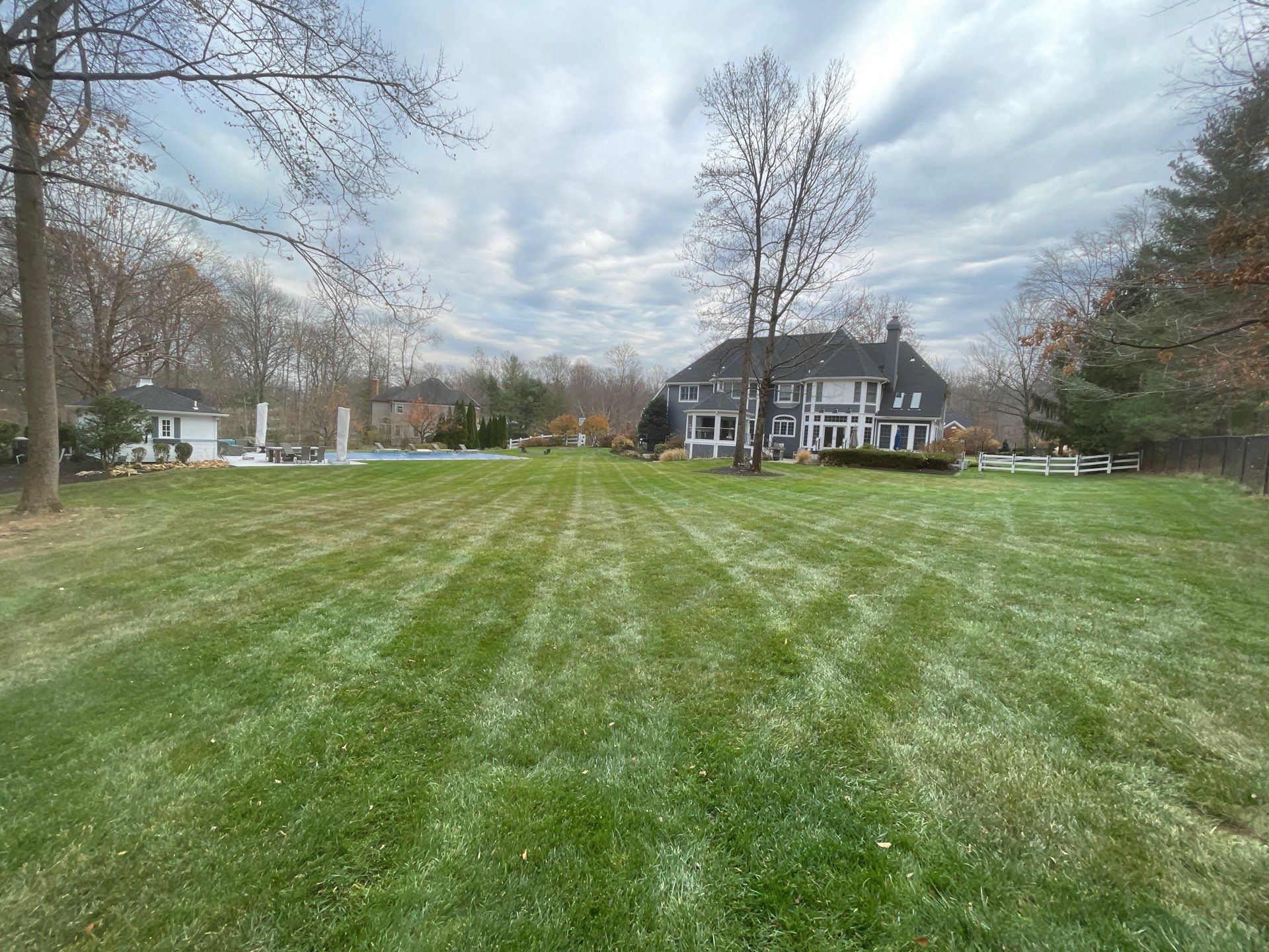 Comprehensive Lawn Care in Warren by Ants Plants
