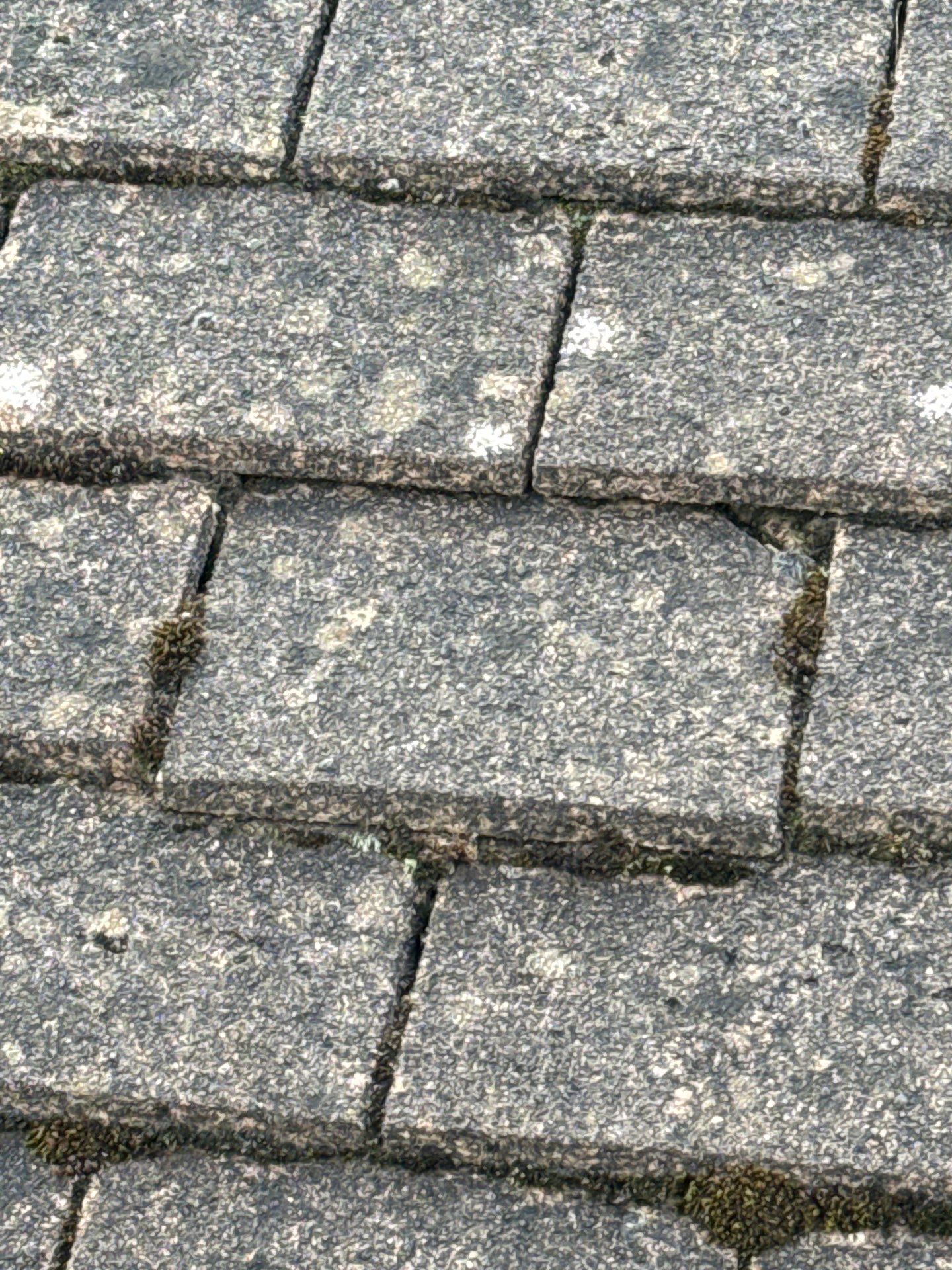 Exterior Clean - Roof - Patio - Driveway using honda 21 ltr/min by Ges Exterior Cleaning ltd