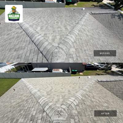 Residential Roof Cleaning and Exterior House Wash in Orlando