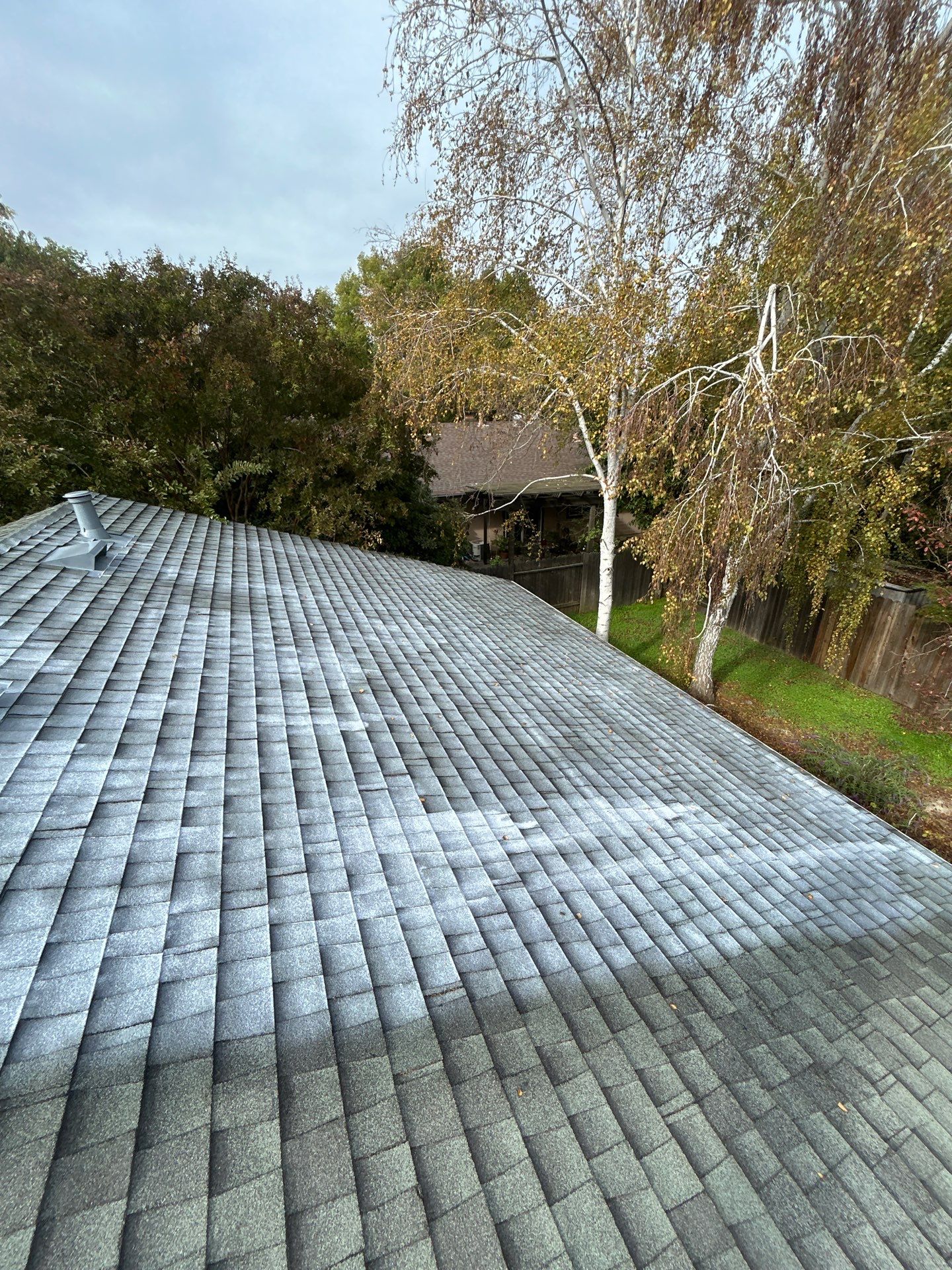 Roof Rejuvenation using Roof Maxx Treatment by Roof Maxx of Folsom