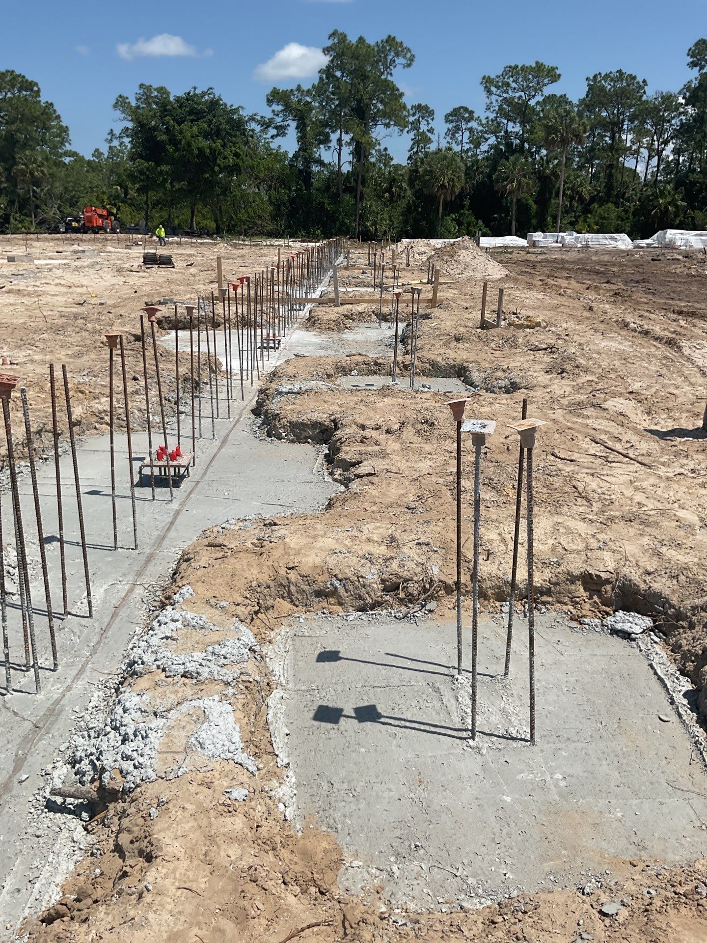 TRACTOR SUPPLY NAPLES by Southern Gulf Construction