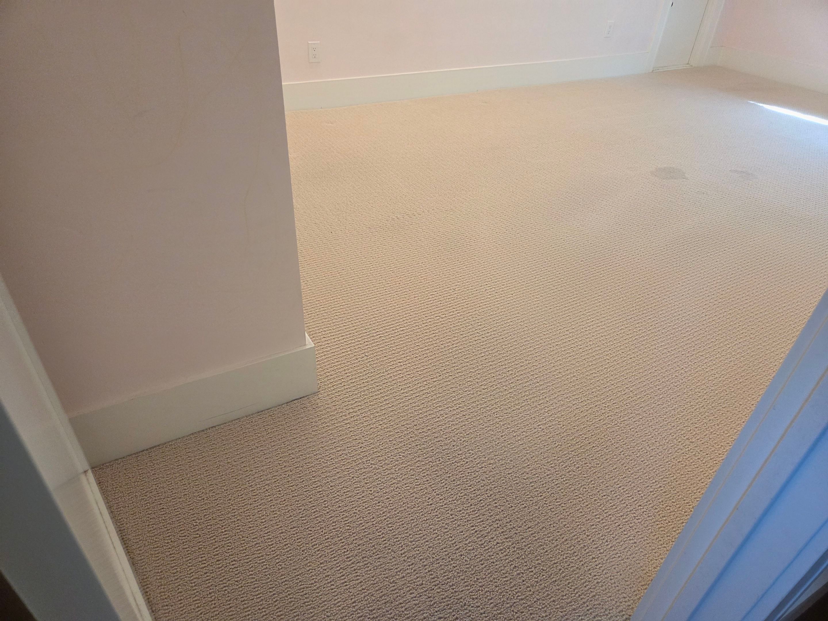 Heavy Carpet Clean with Imperfections by Ardent Carpet Restore LLC