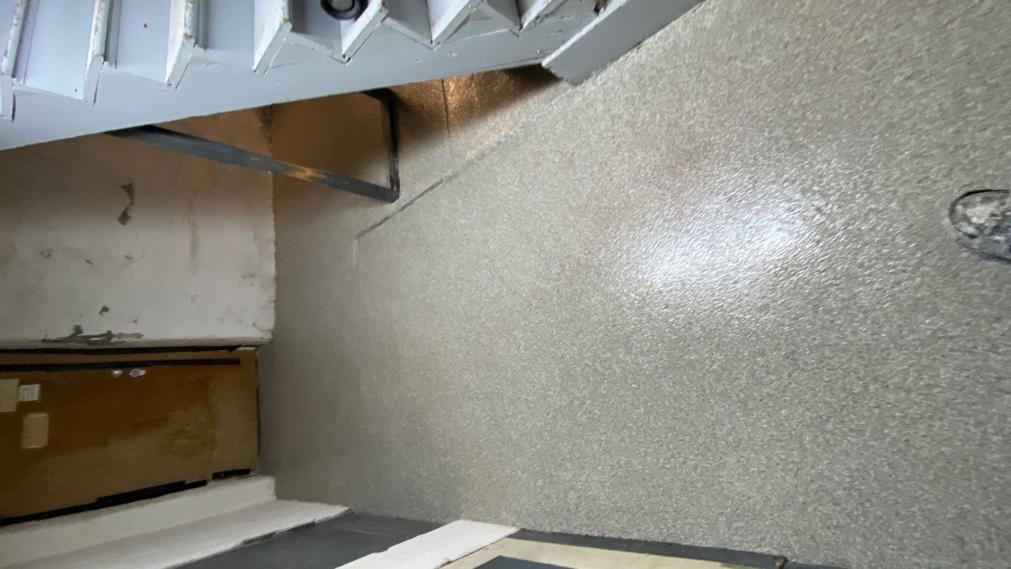 Cat Hospital Project in Pittsburgh by Floors in a Day, Inc