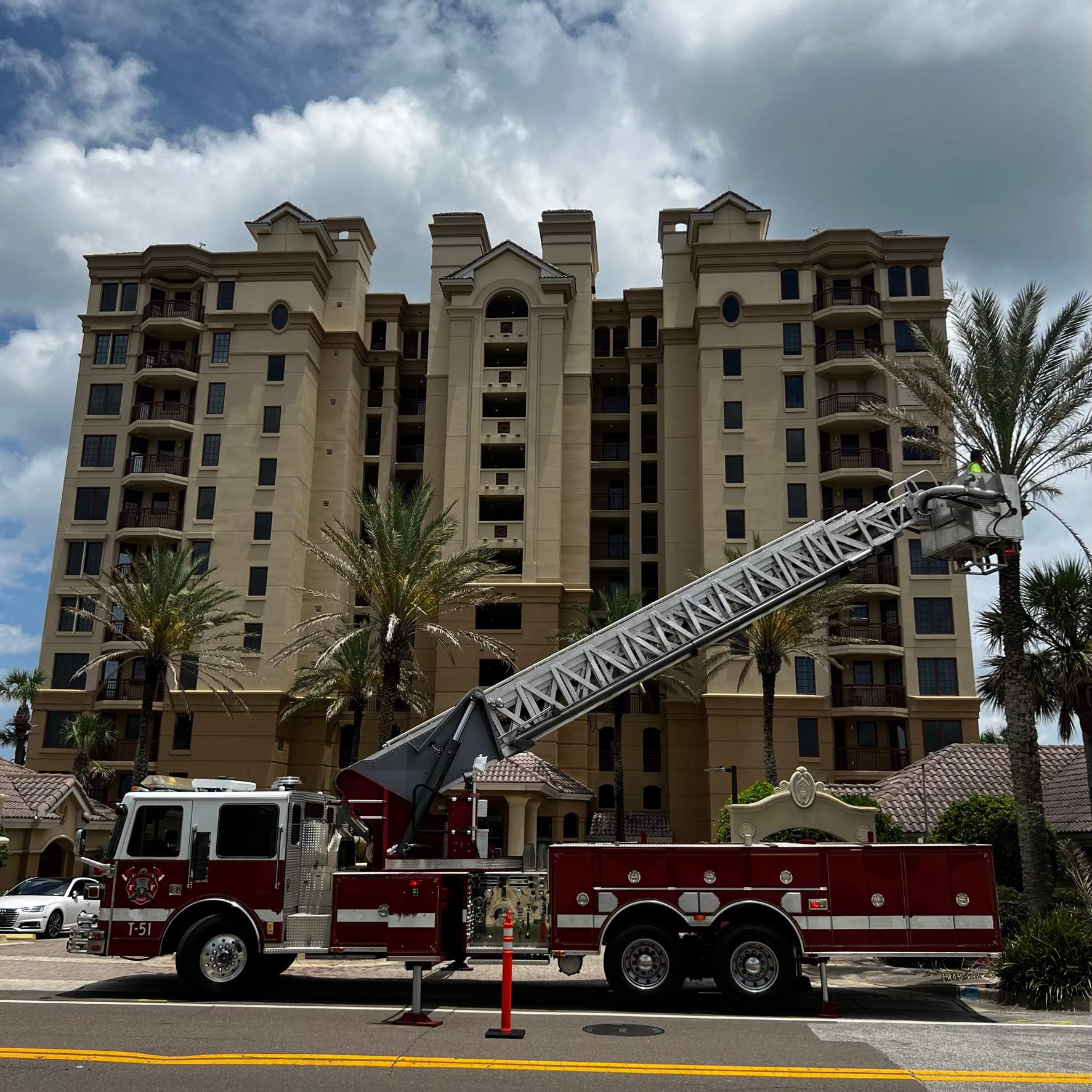 Palm Trimming | Landmark Condominiums by ProGreen Services