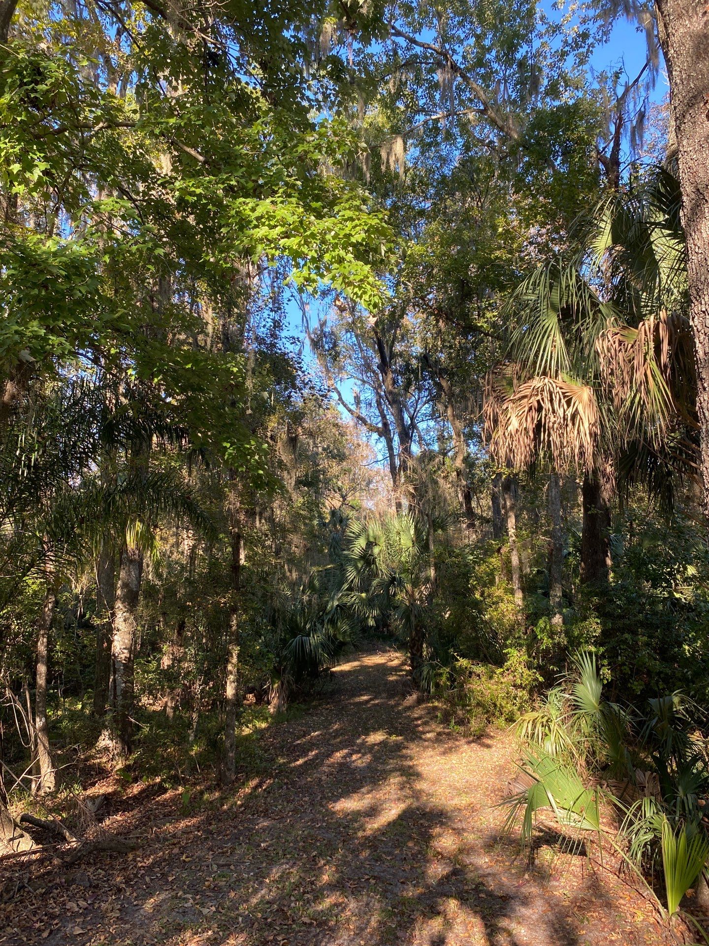 Deerwood Resident | Extreme Clean Up by ProGreen Services