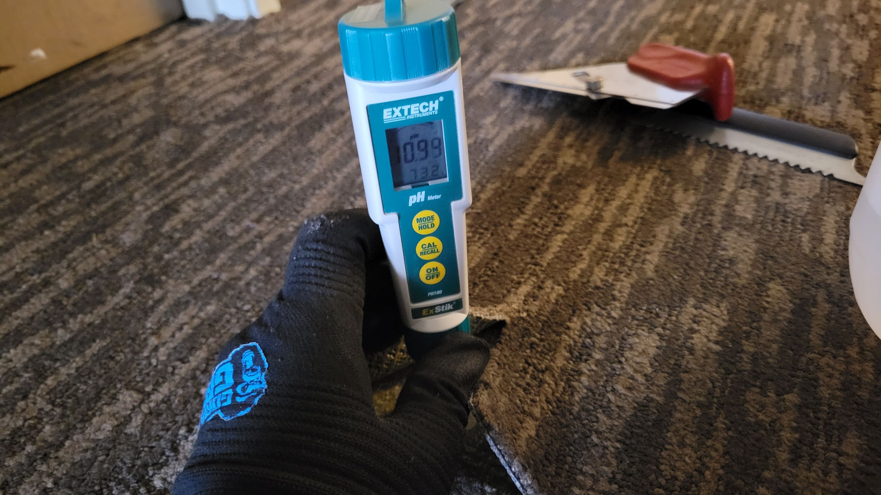 Buckled Commercial Glue Down Carpet by Ardent Carpet Restore LLC