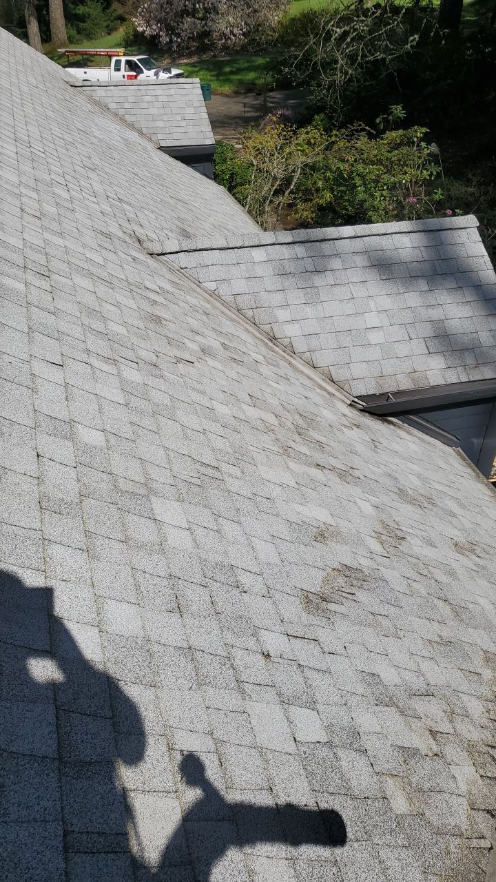 Roof Treatment using Surfactant and Biocide by Willamette Outdoor Wash LLC