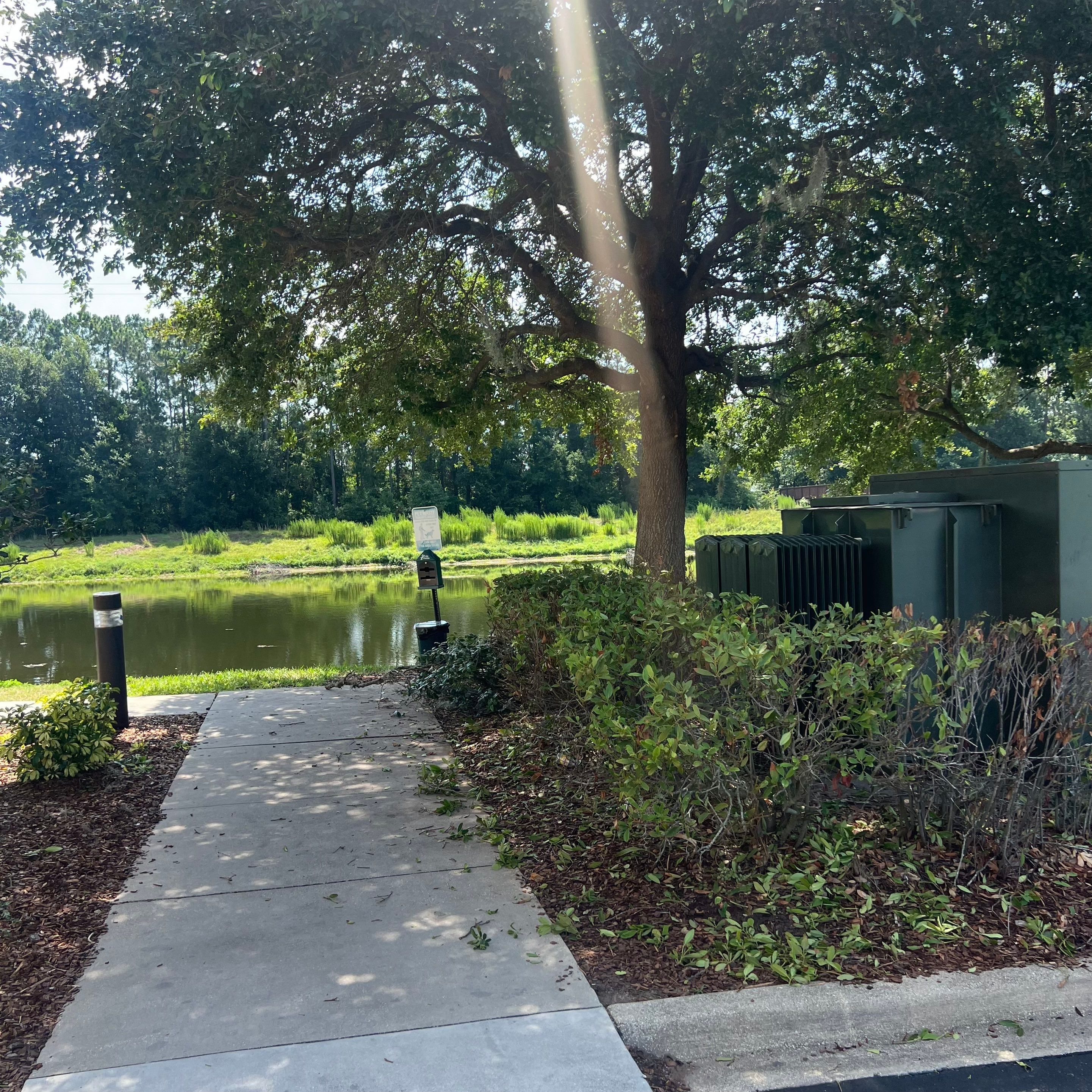 Homewood Suites | Tree Service by ProGreen Services