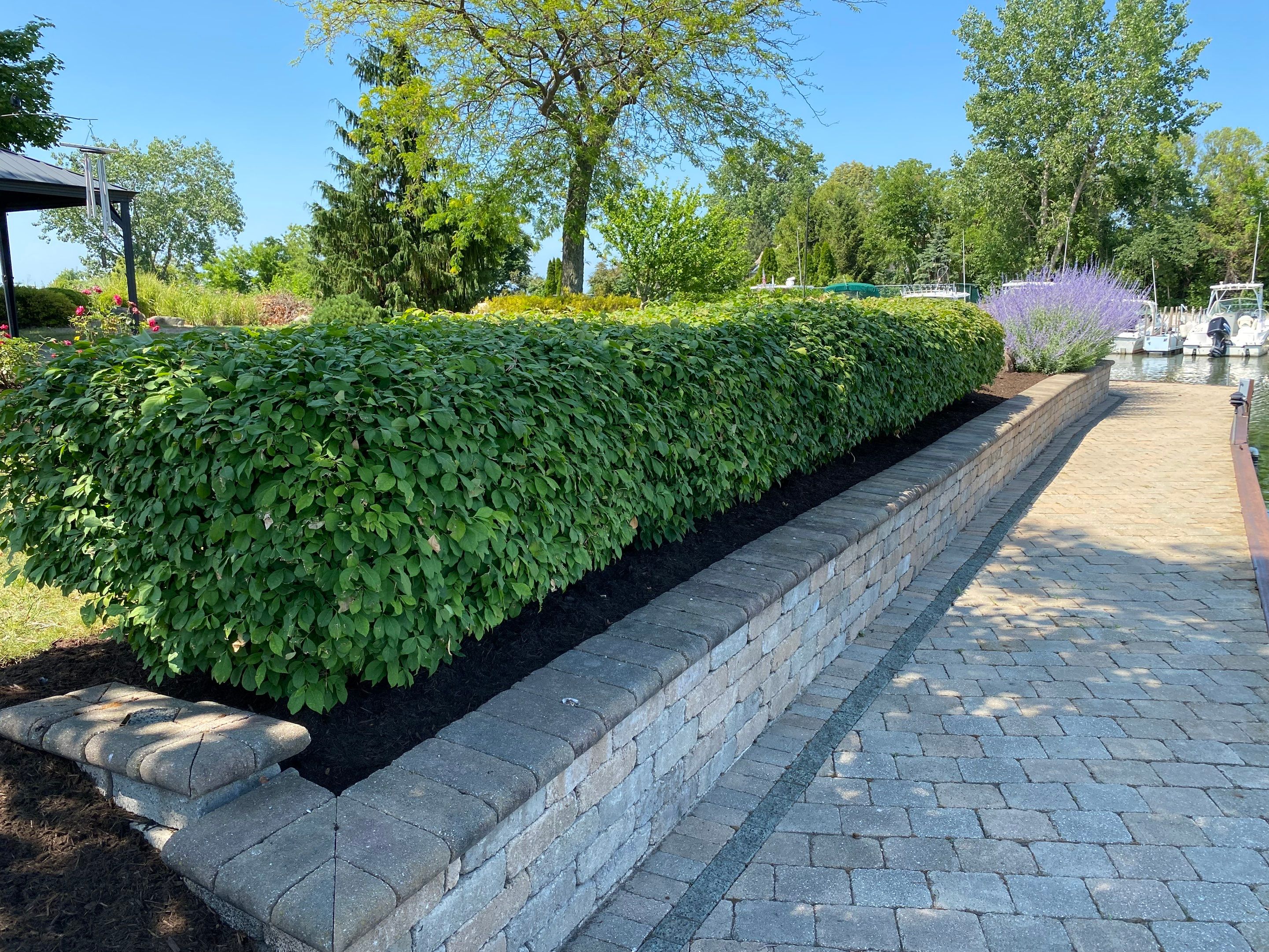 Lake House Maintenance by Elm Rose Gardens