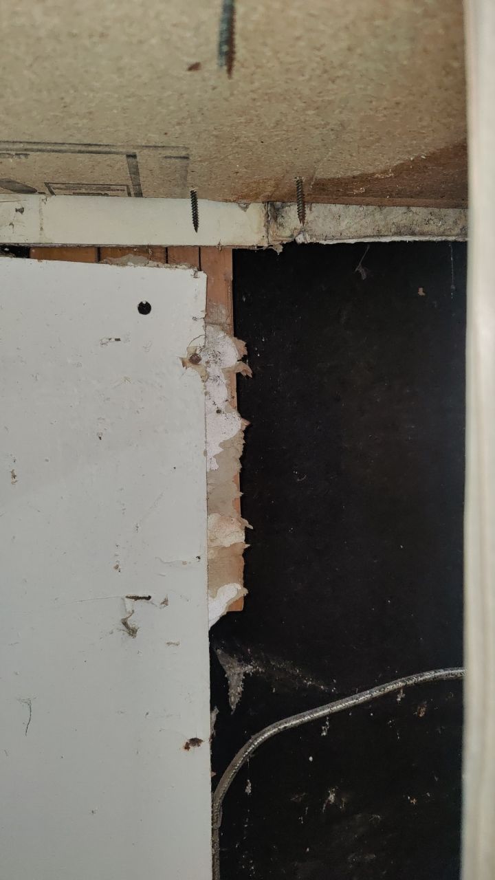 Mold Damage by Accountable Home Services